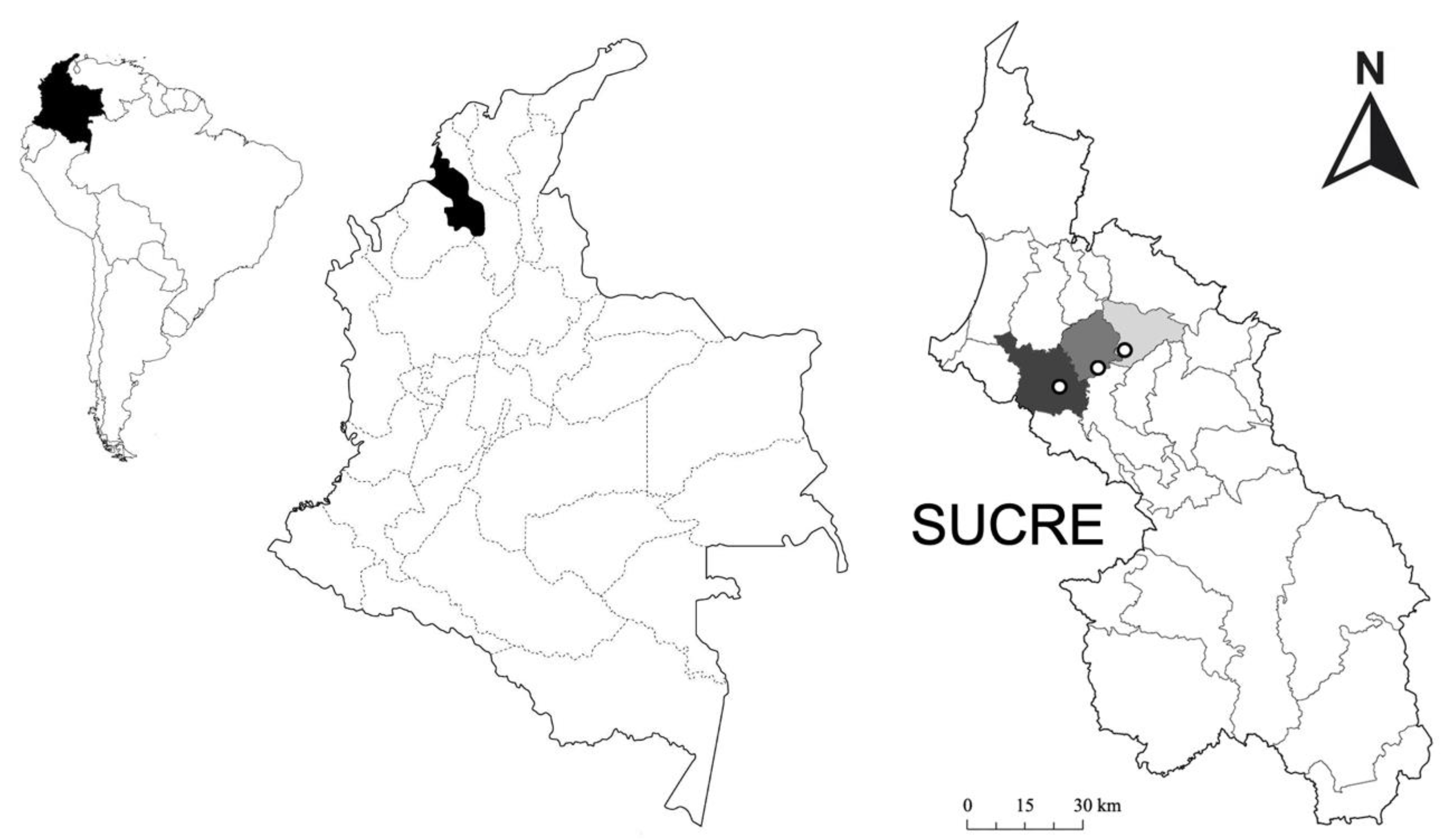 Diversity 15 00555 g001