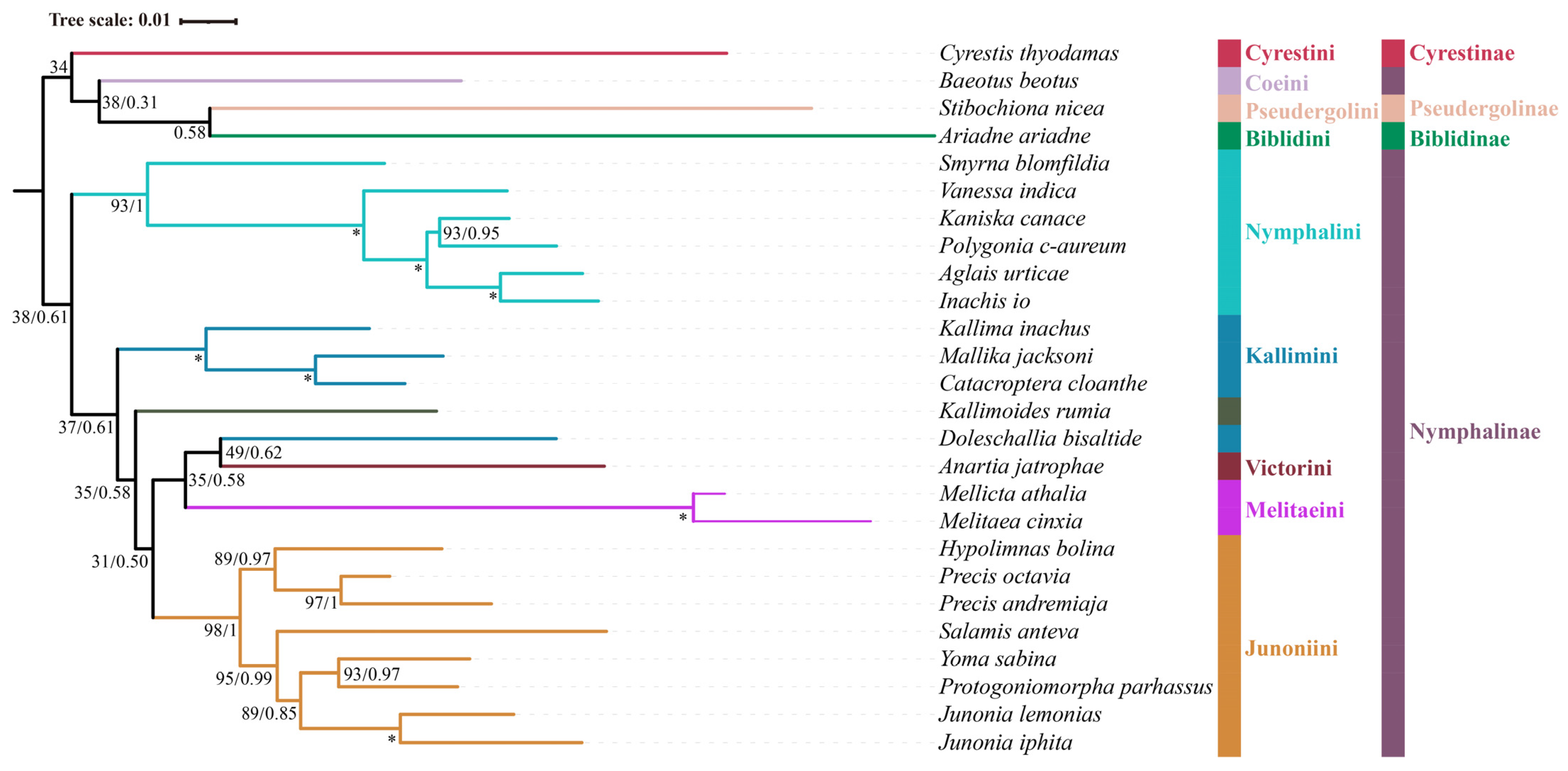Diversity 15 00558 g002