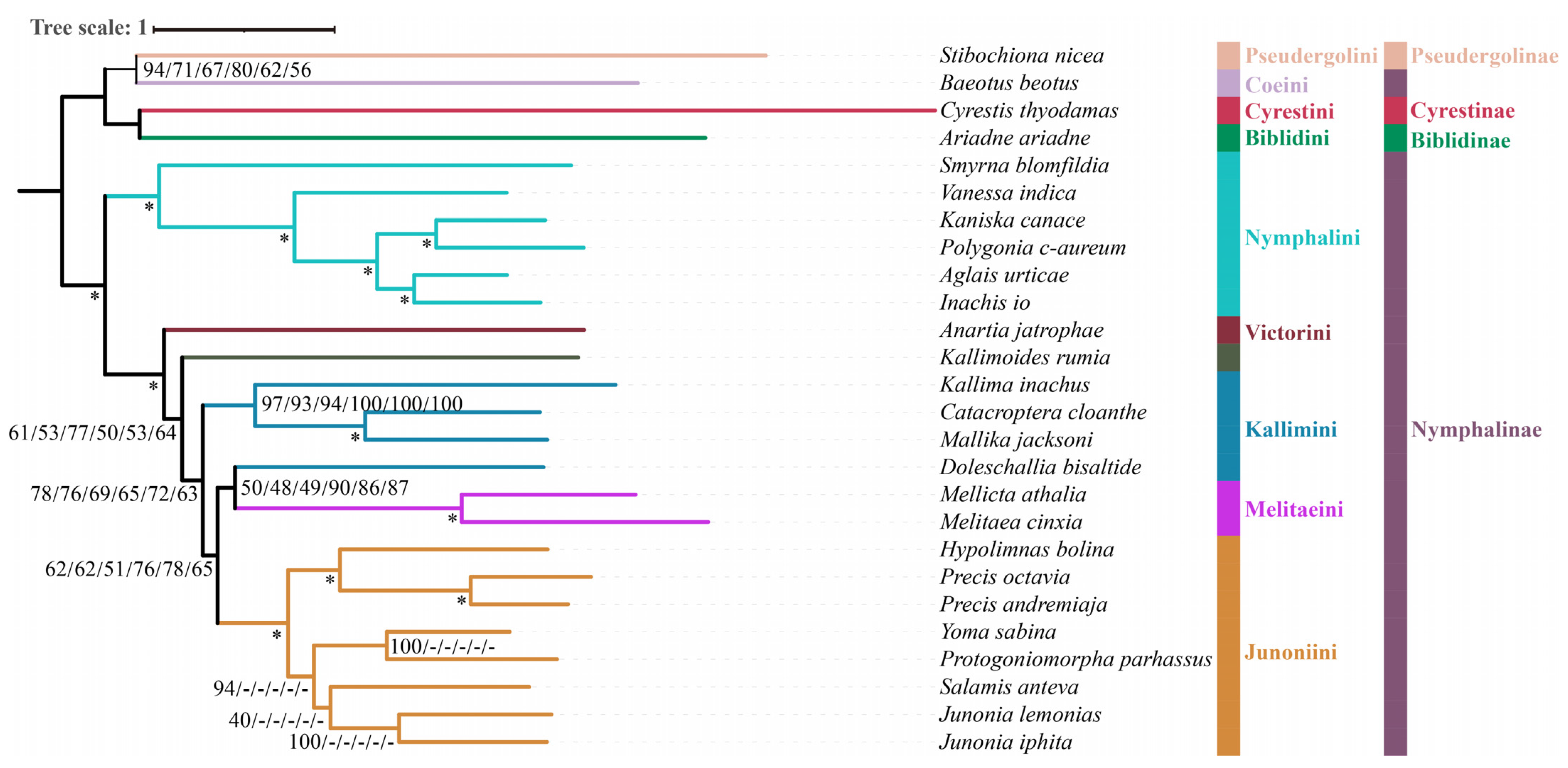 Diversity 15 00558 g003