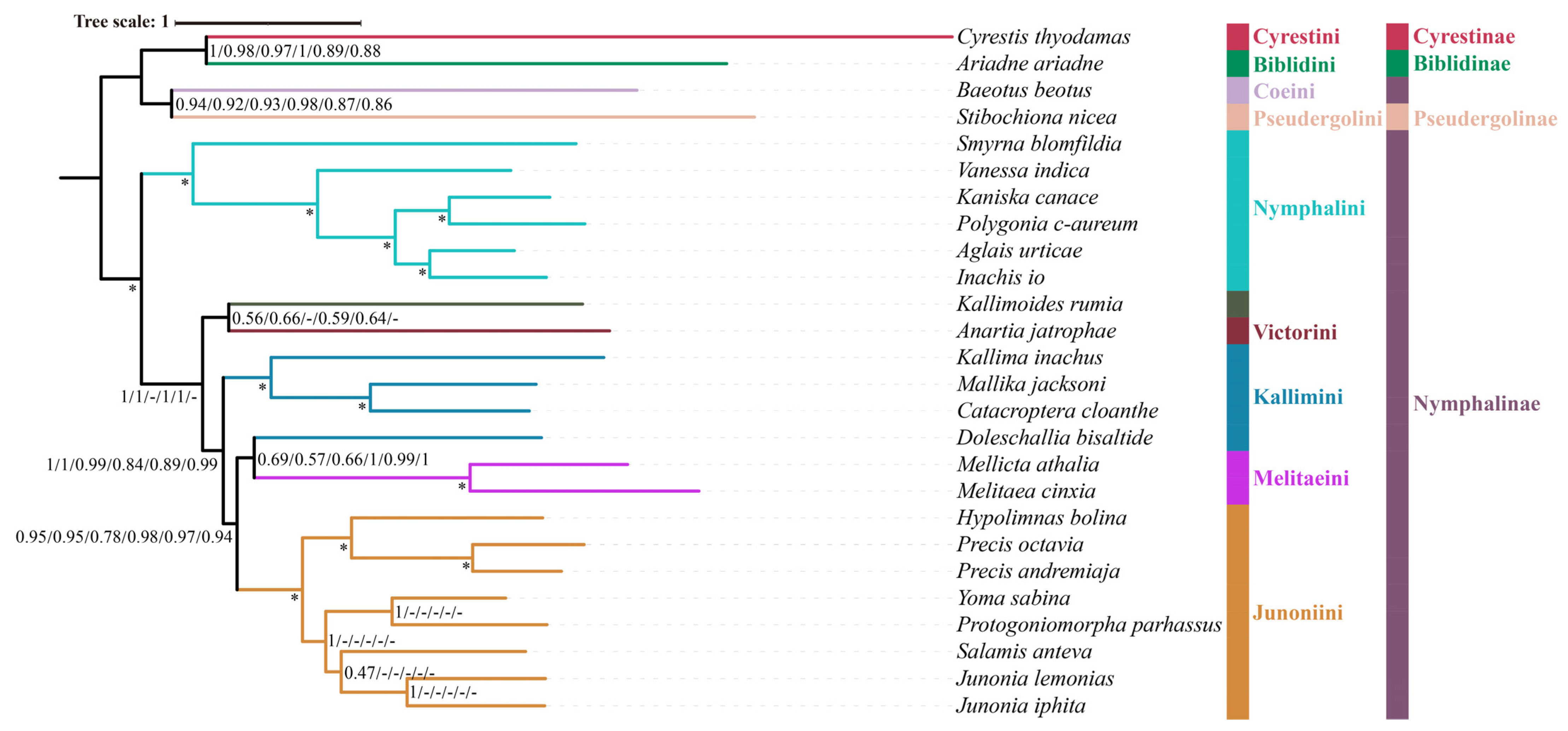 Diversity 15 00558 g004