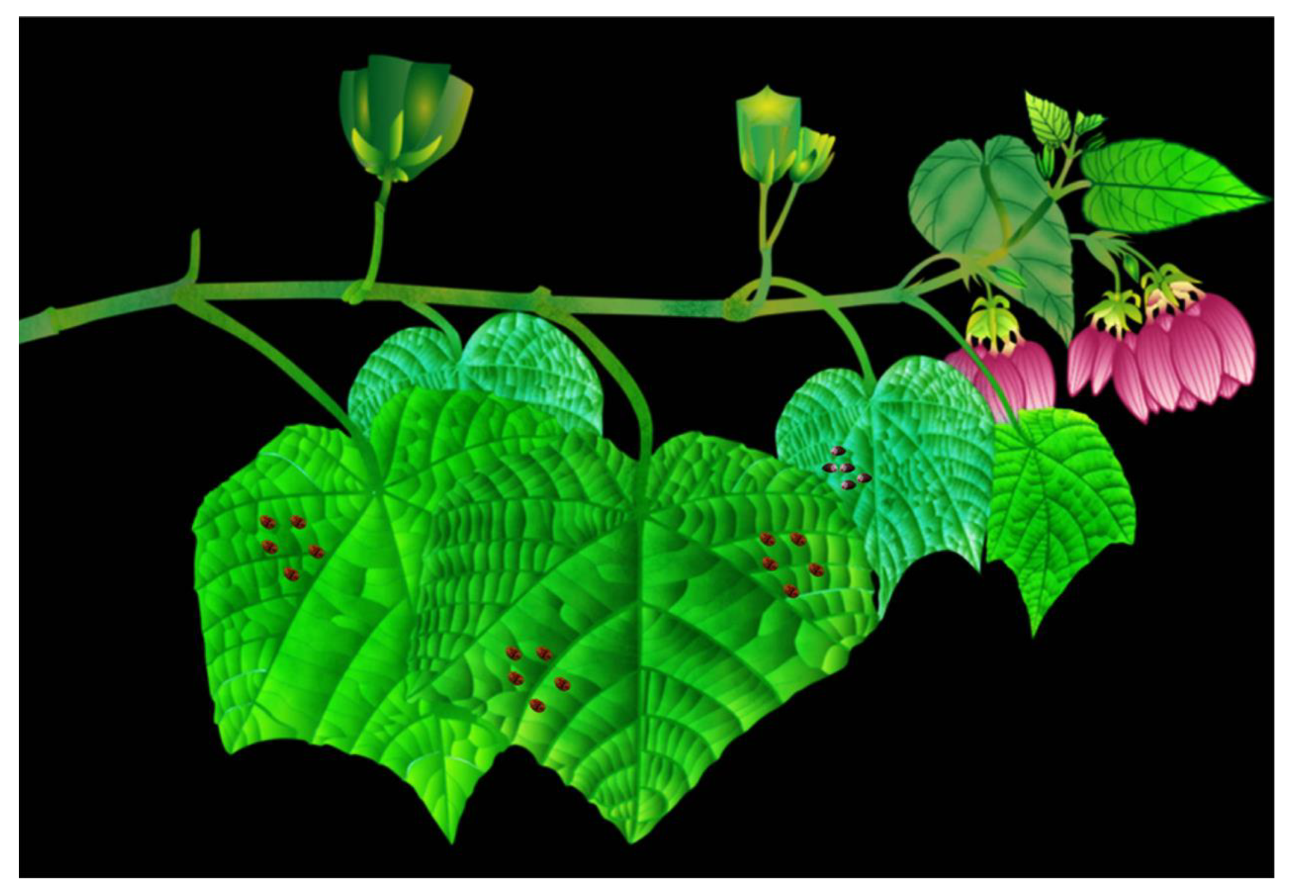 Diversity 15 00564 g006 Diversity 15 00564 g006