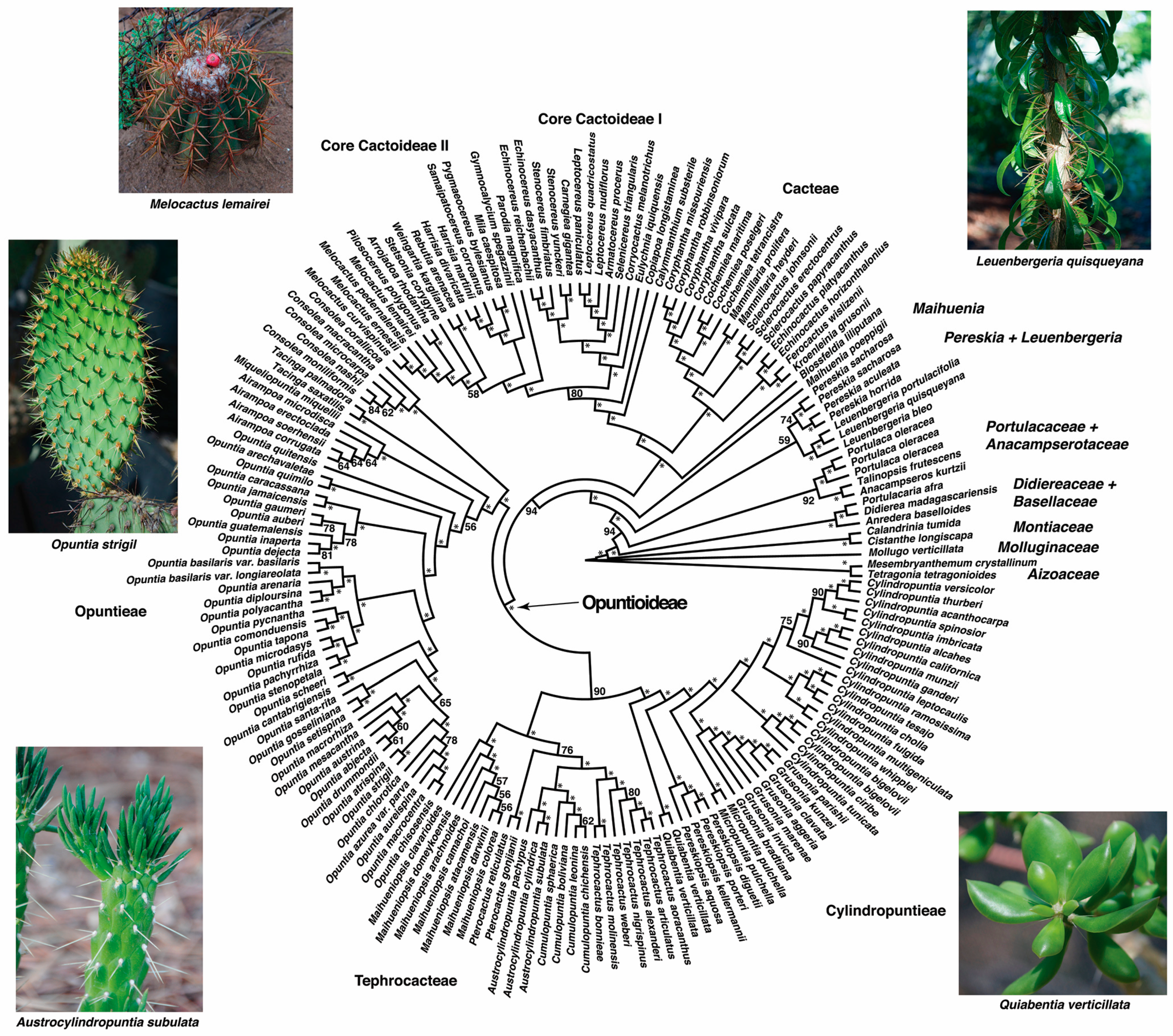 Diversity 15 00570 g001 Diversity 15 00570 g001