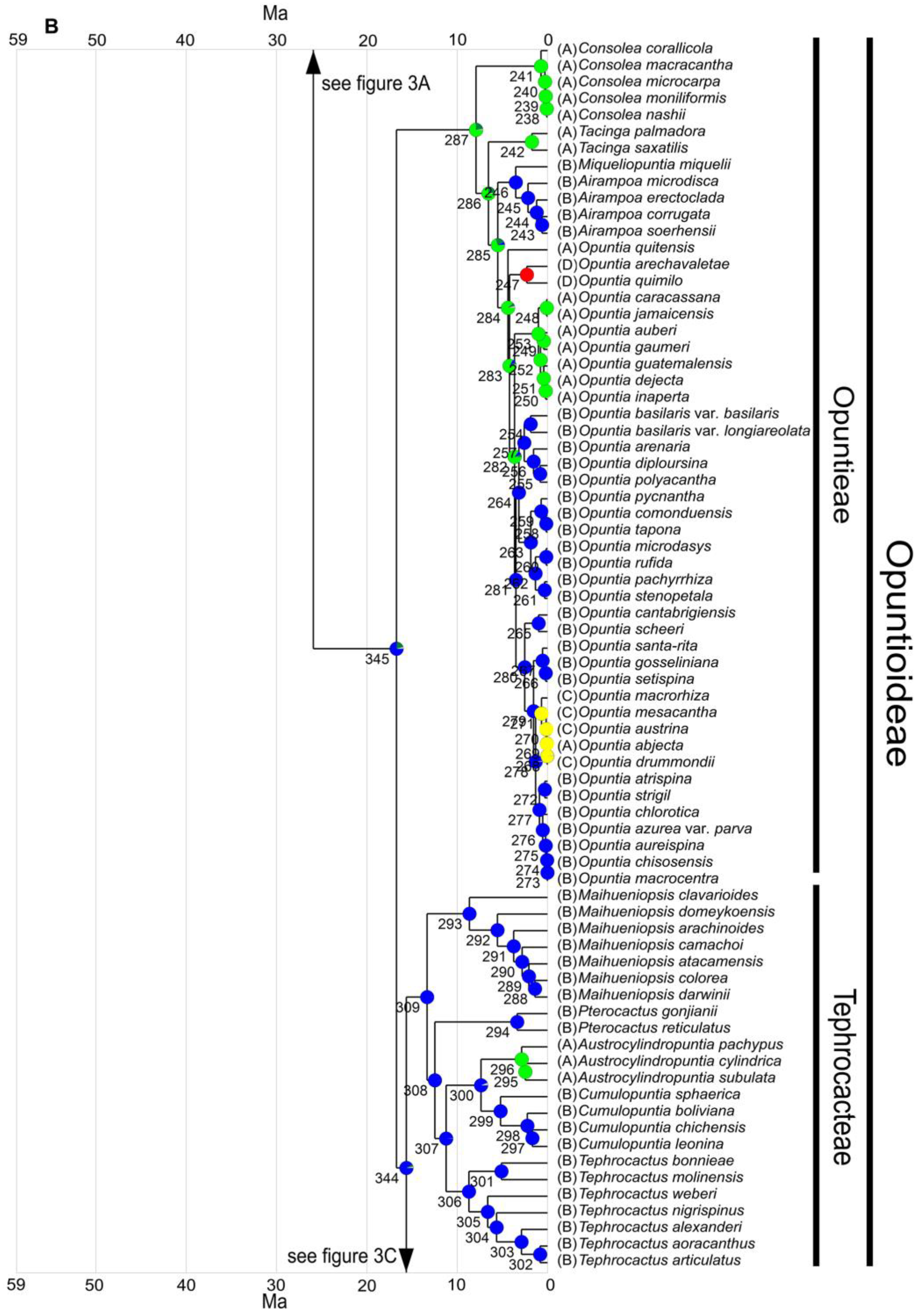 Diversity 15 00570 g003b Diversity 15 00570 g003b