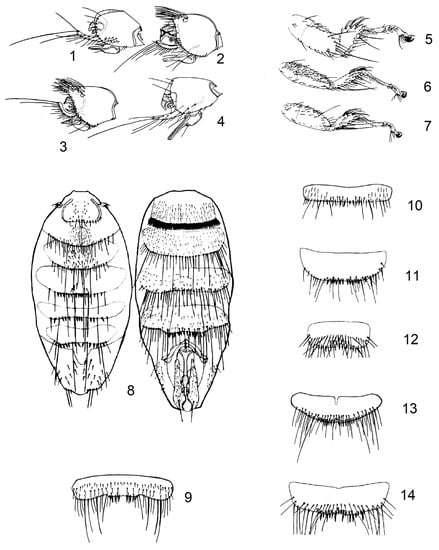 Diversity 15 00573 g001