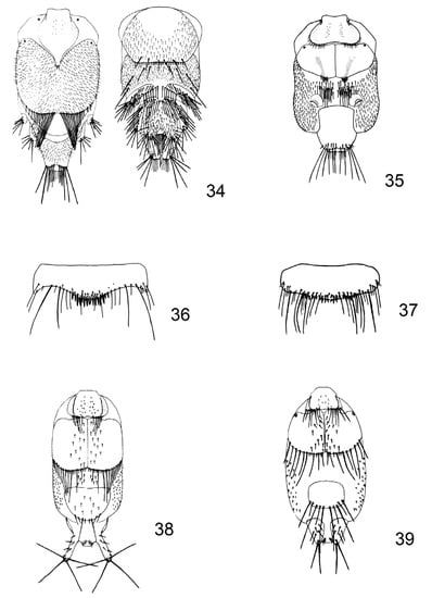 Diversity 15 00573 g005