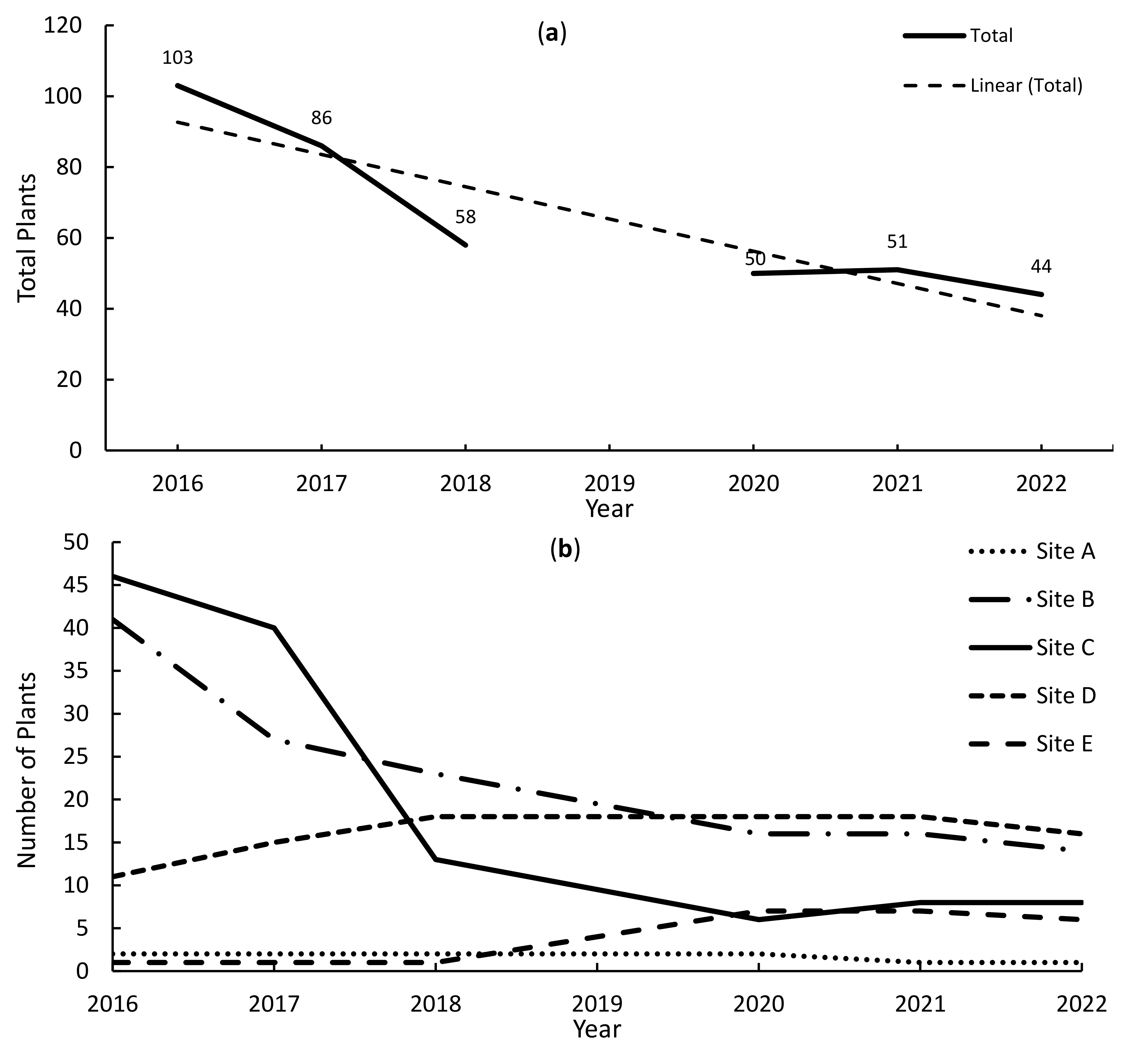 Diversity 15 00576 g003