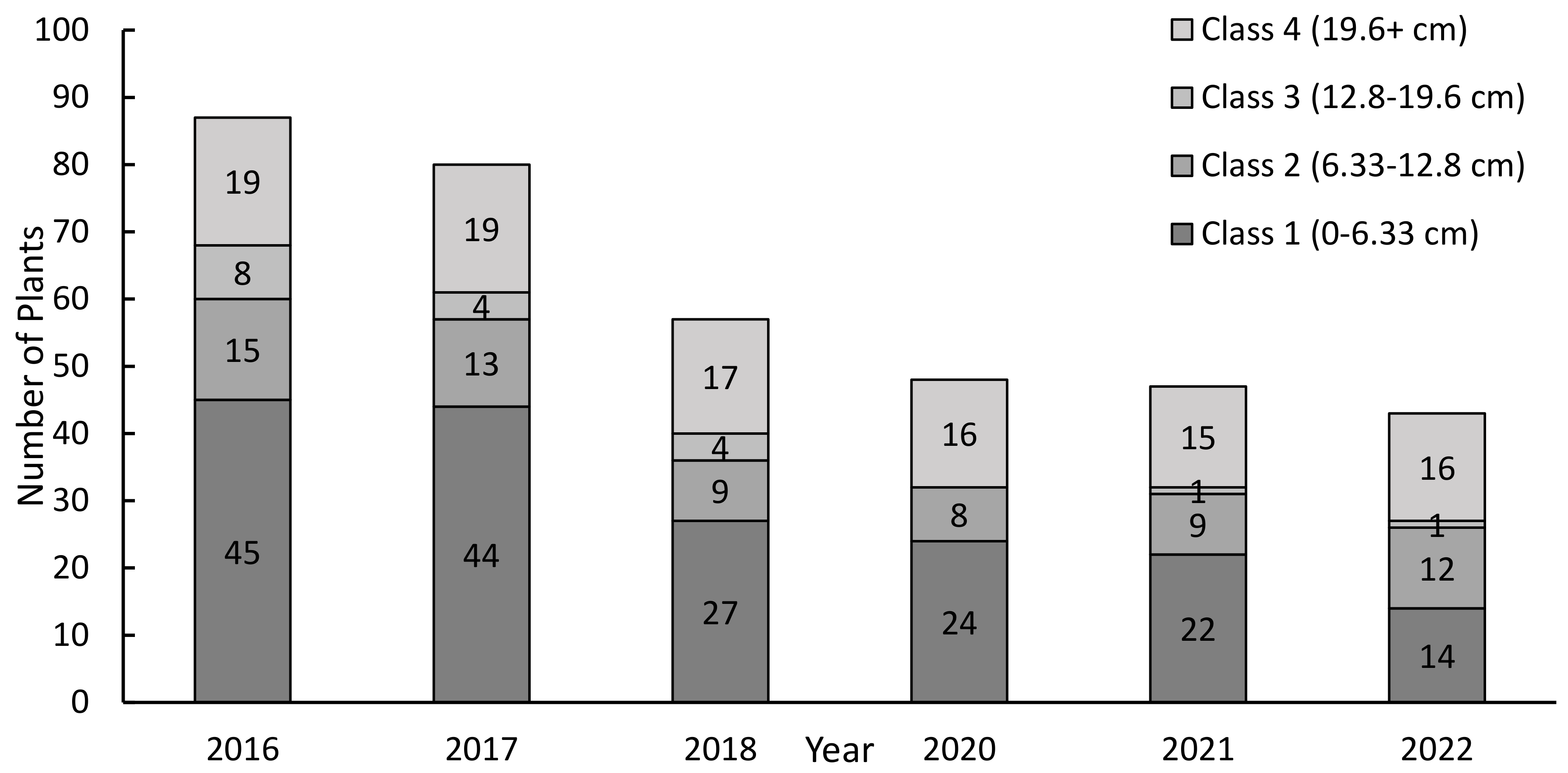 Diversity 15 00576 g004