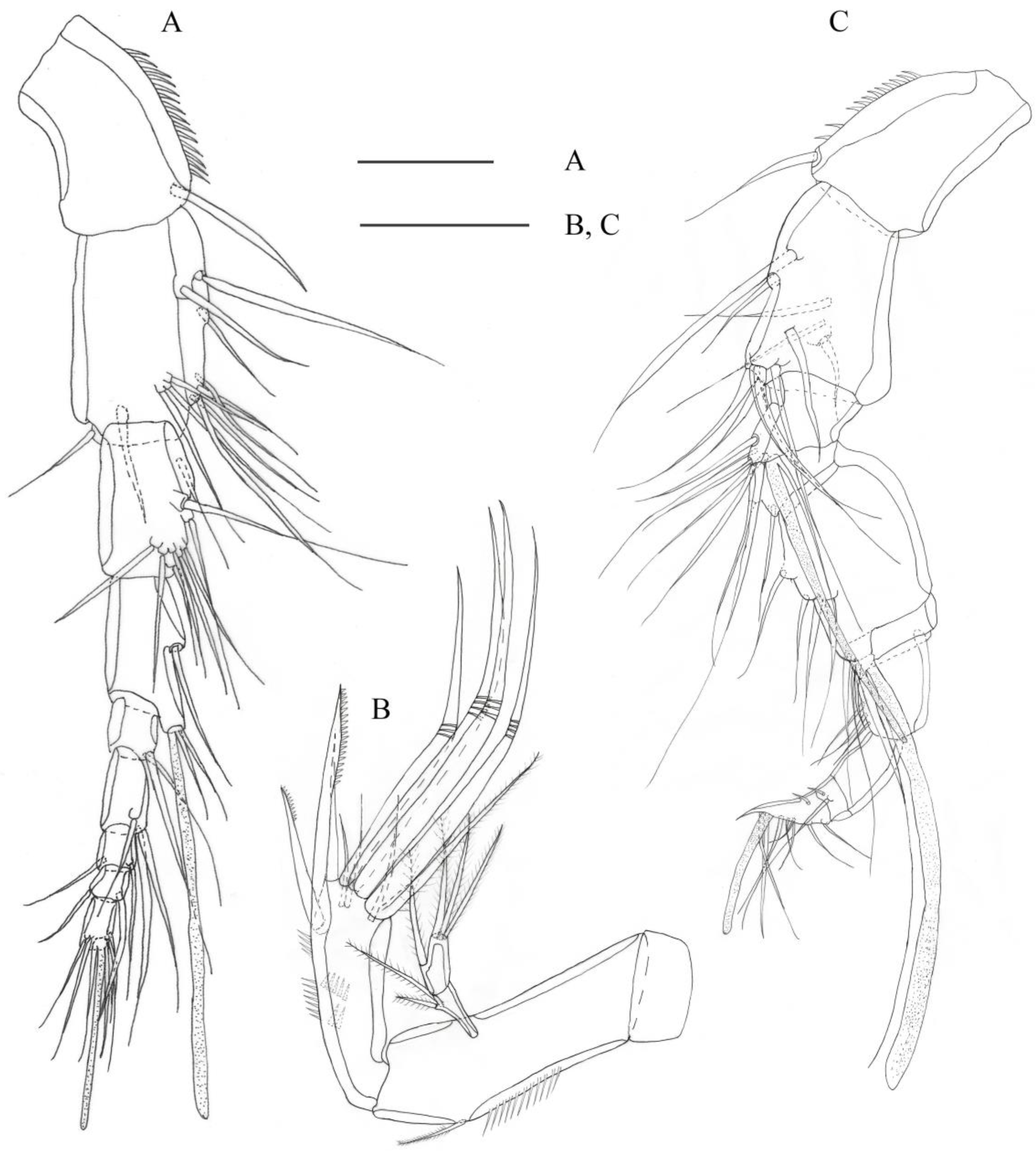 Diversity 15 00577 g002