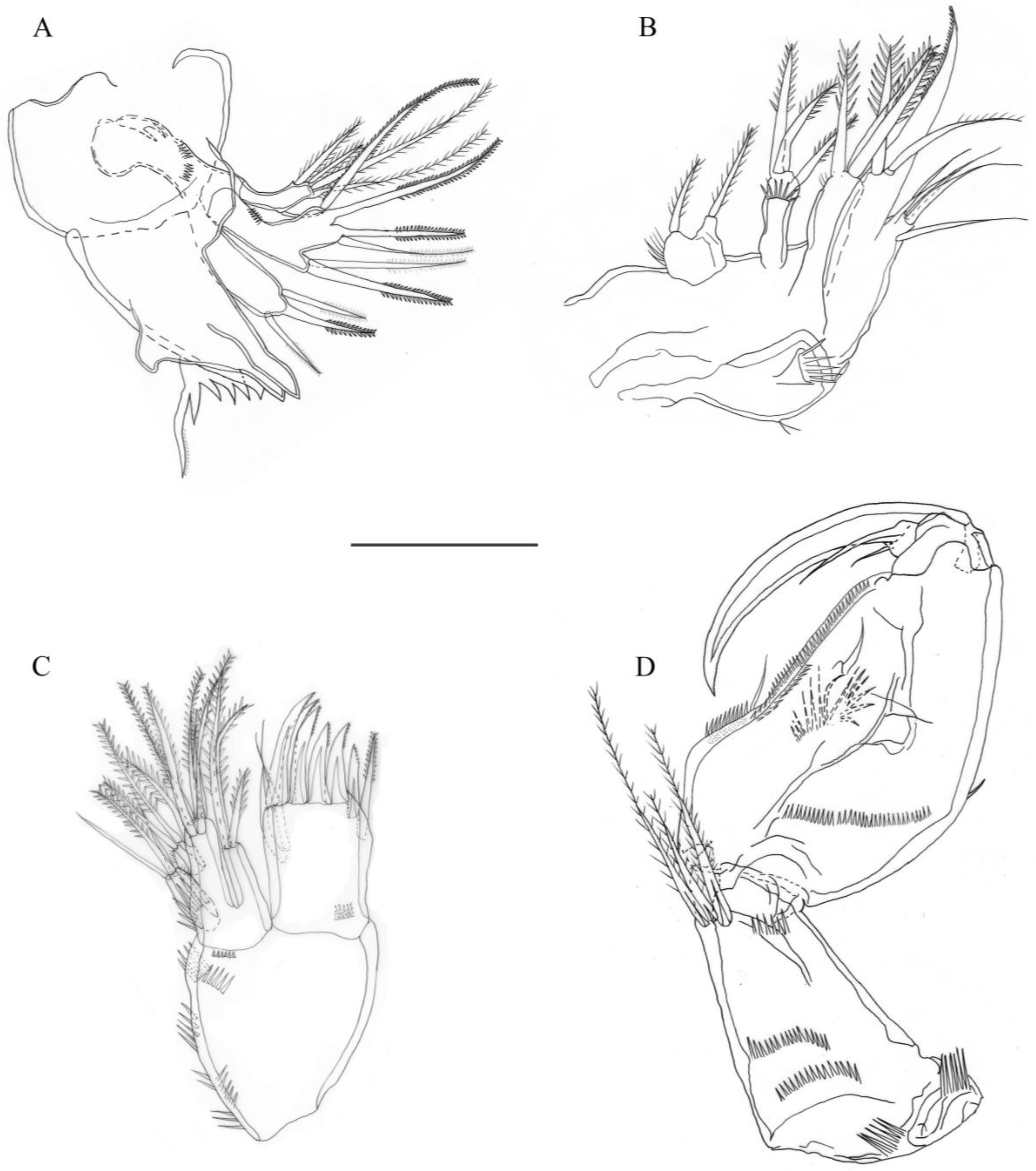 Diversity 15 00577 g003