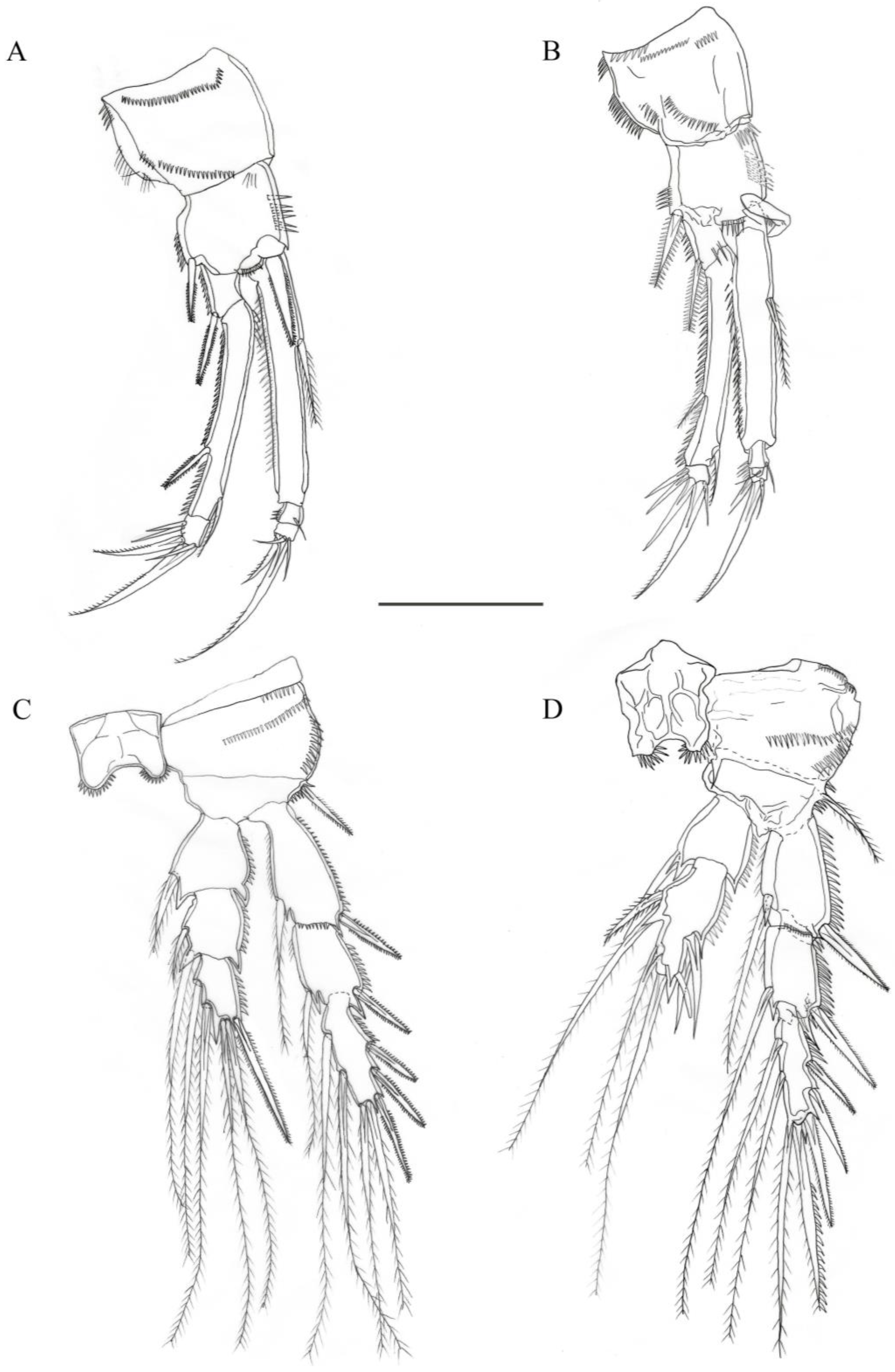 Diversity 15 00577 g004