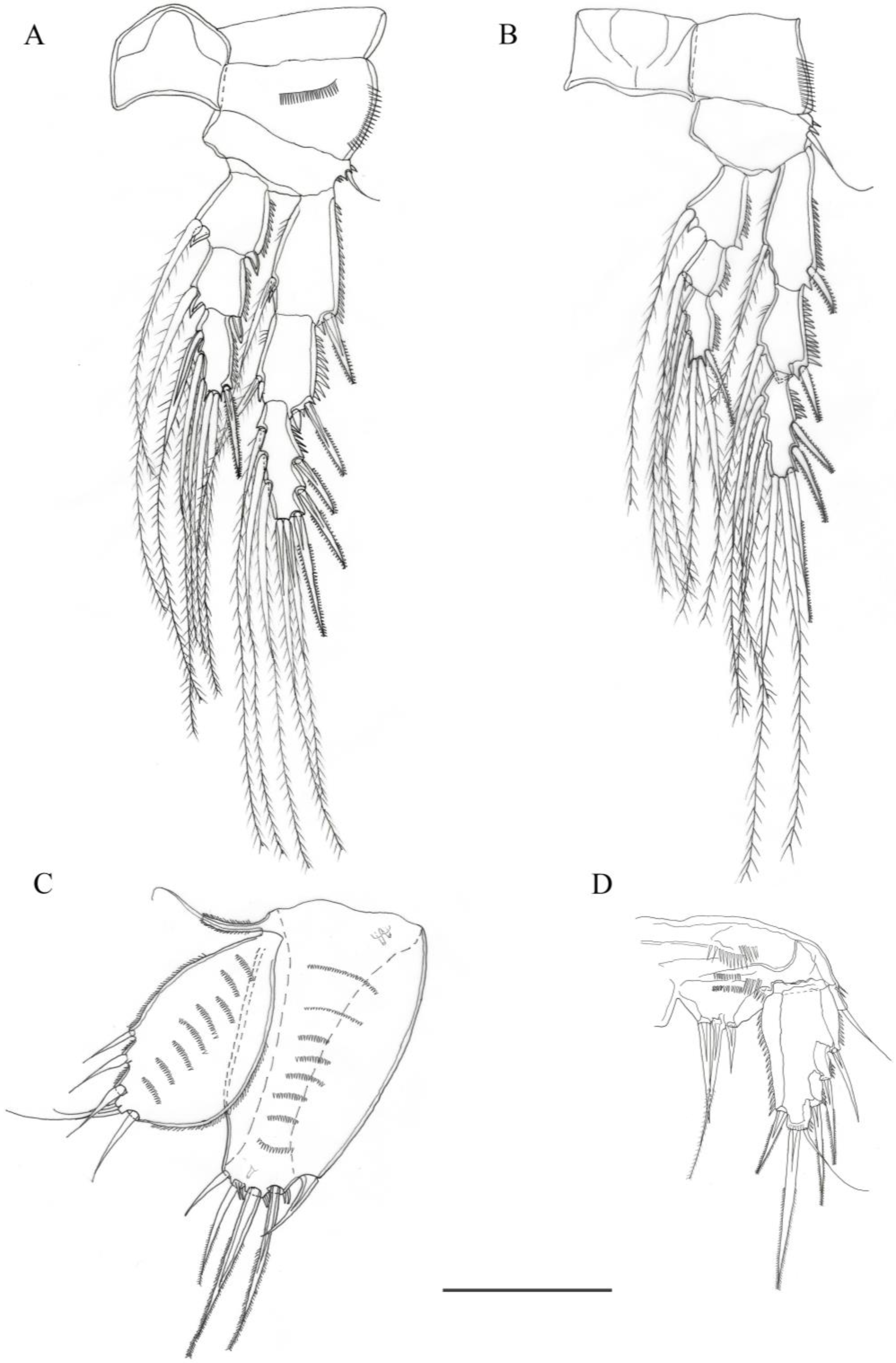 Diversity 15 00577 g005