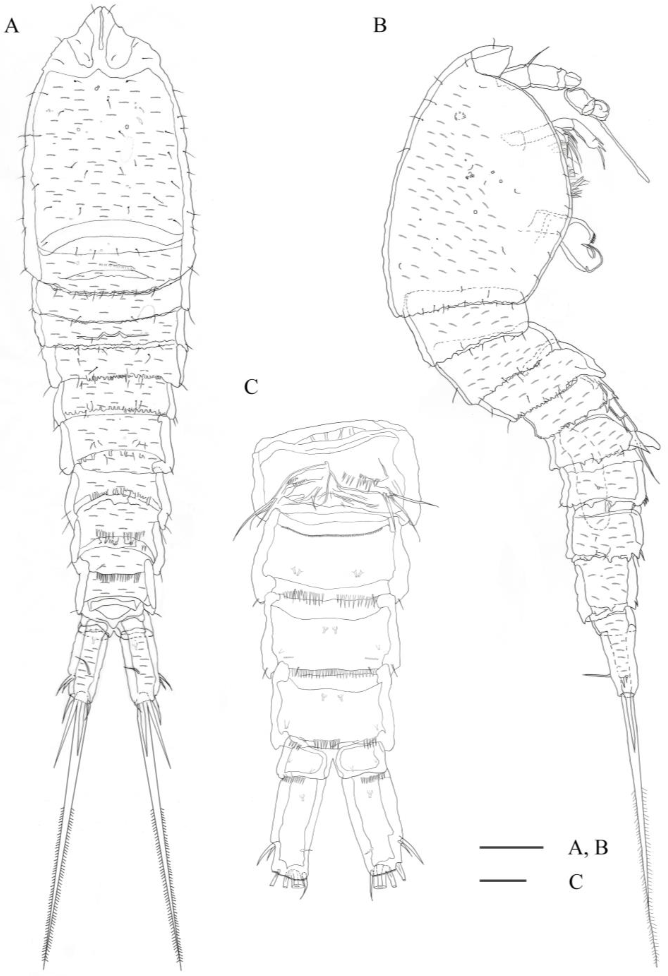 Diversity 15 00577 g006