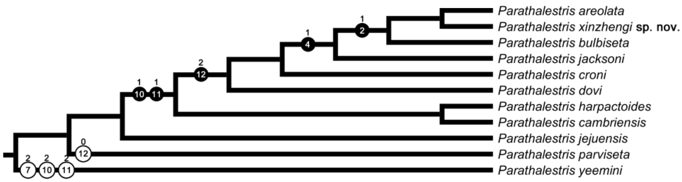 Diversity 15 00577 g007