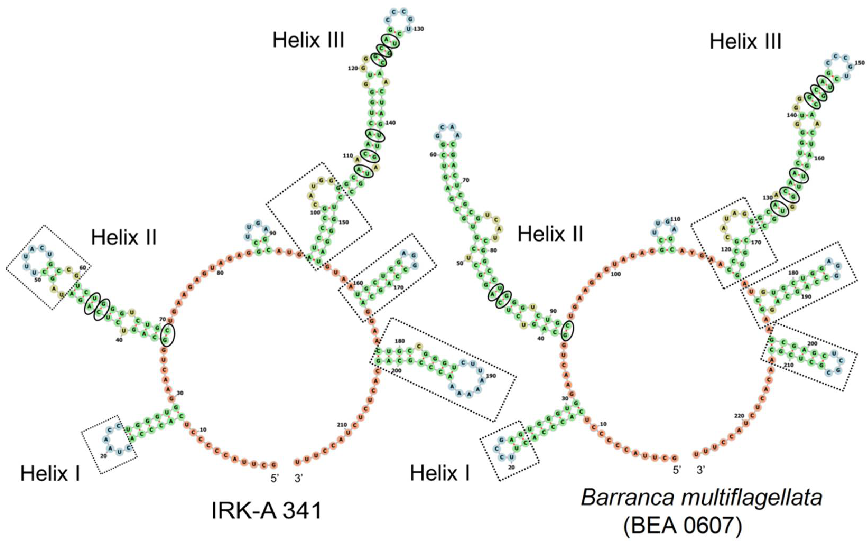 Diversity 15 00583 g003 Diversity 15 00583 g003