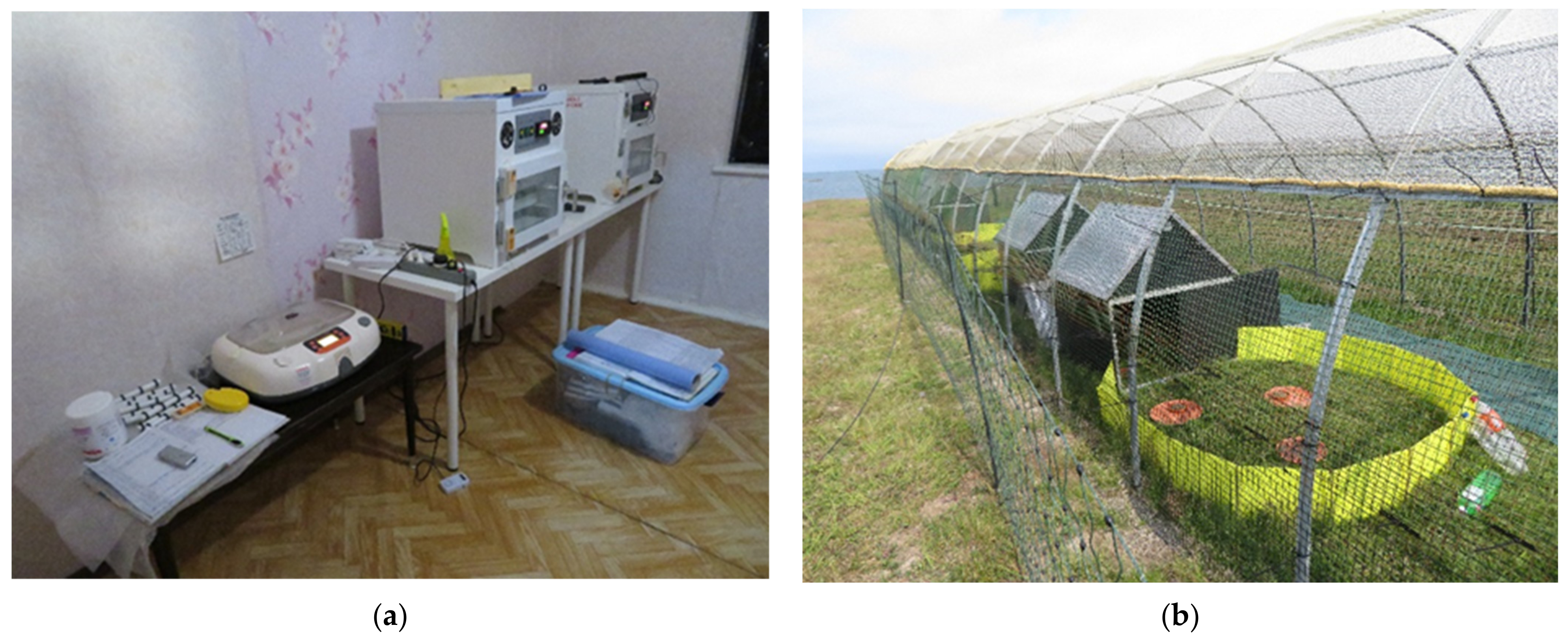 Diversity 15 00584 g001 Diversity 15 00584 g001