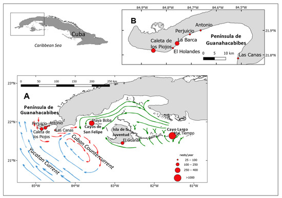 Diversity 15 00586 g001