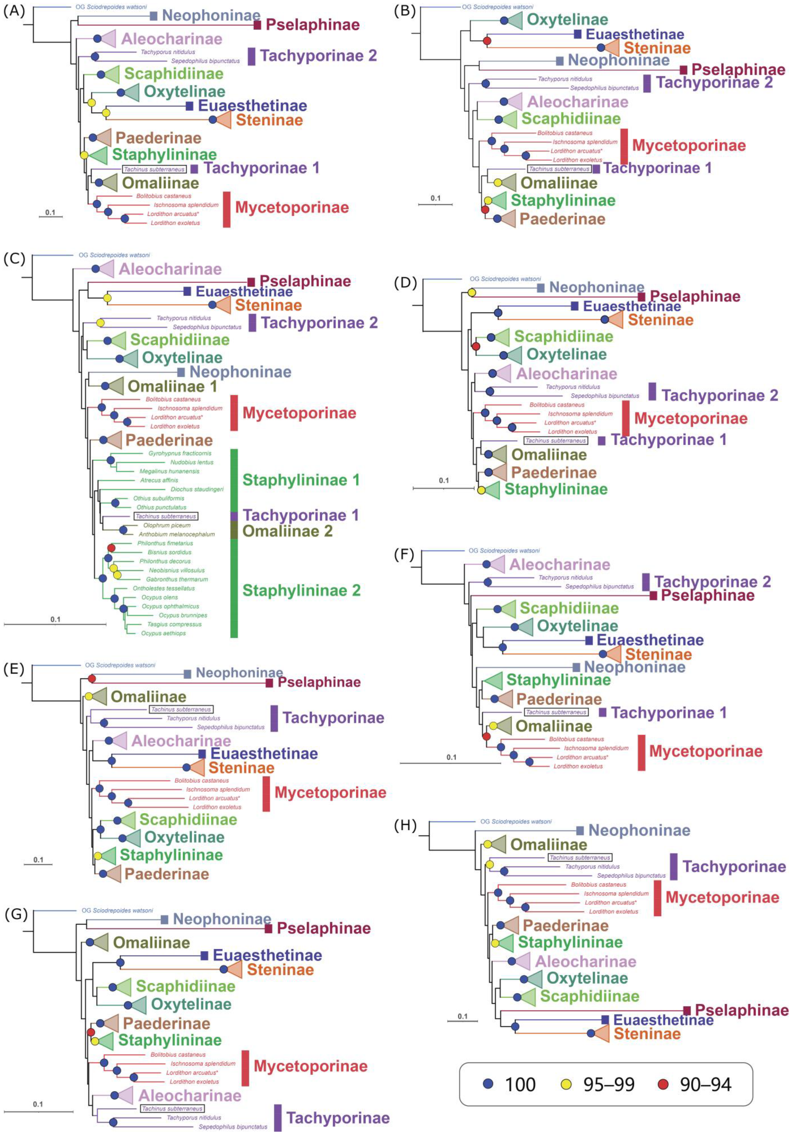 Diversity 15 00588 g004 Diversity 15 00588 g004