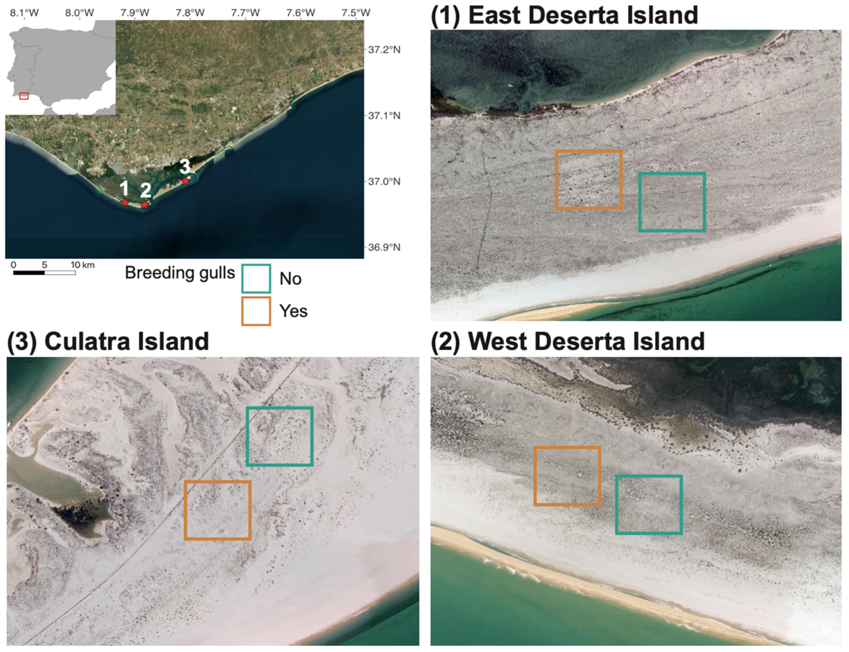 Diversity 15 00589 g001