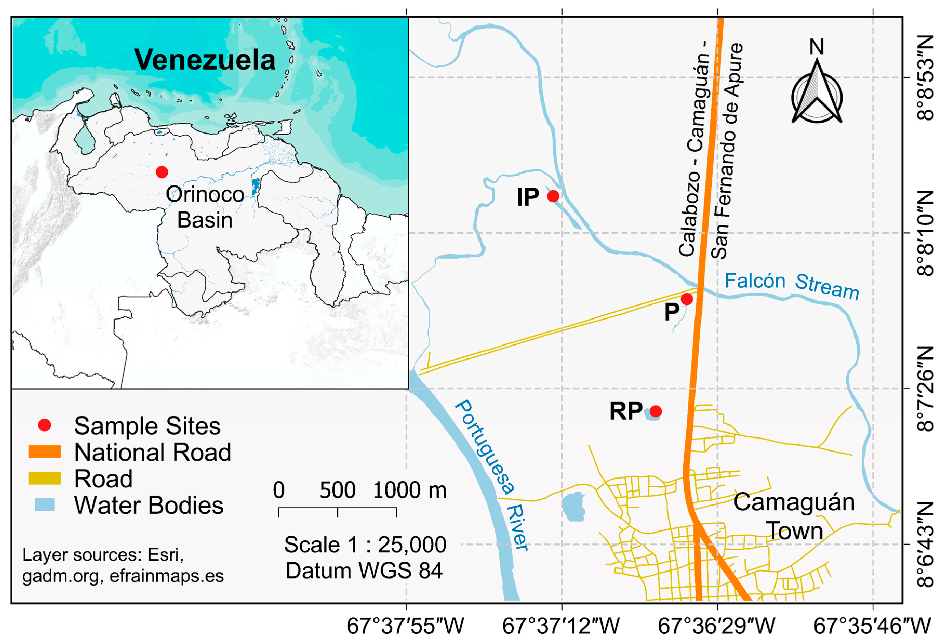 Diversity 15 00590 g001