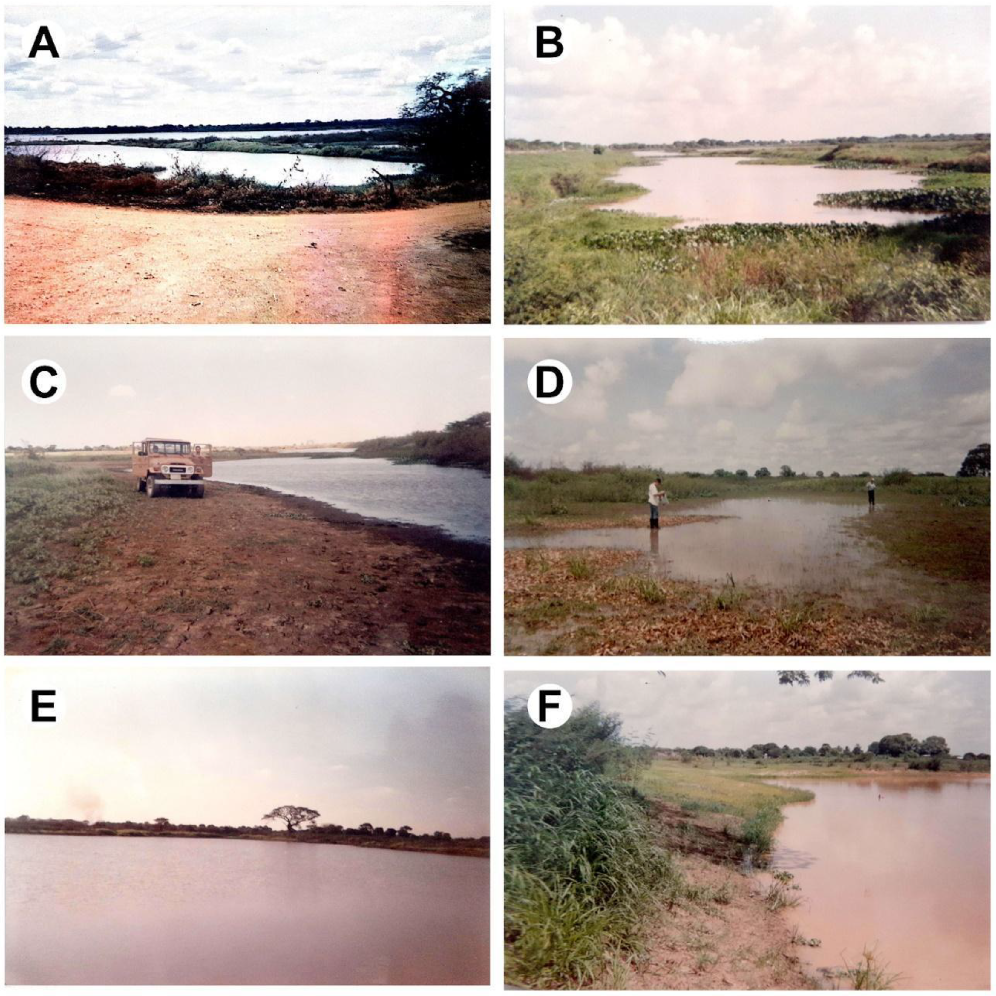 Diversity 15 00590 g002