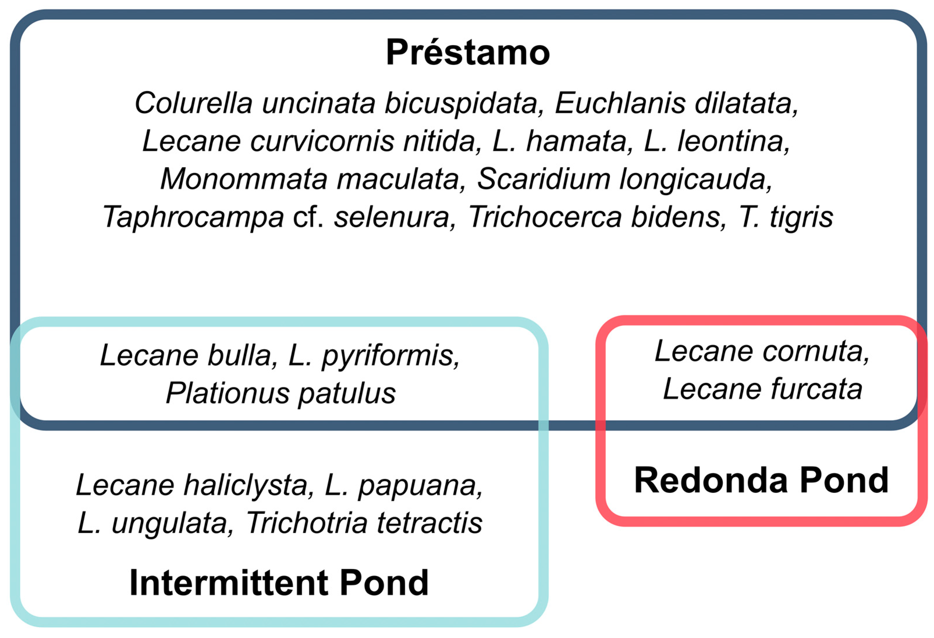 Diversity 15 00590 g004