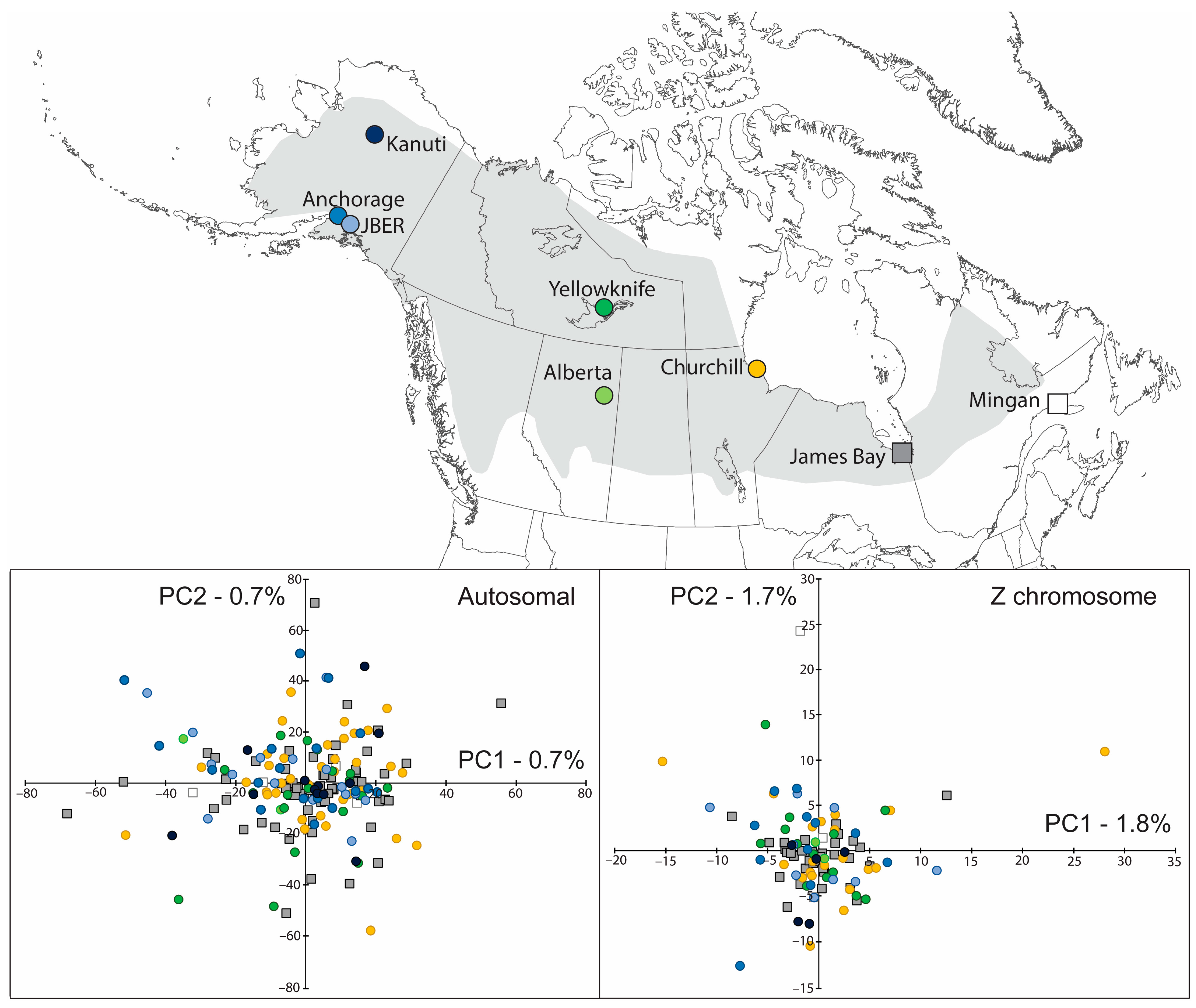 Diversity 15 00595 g001