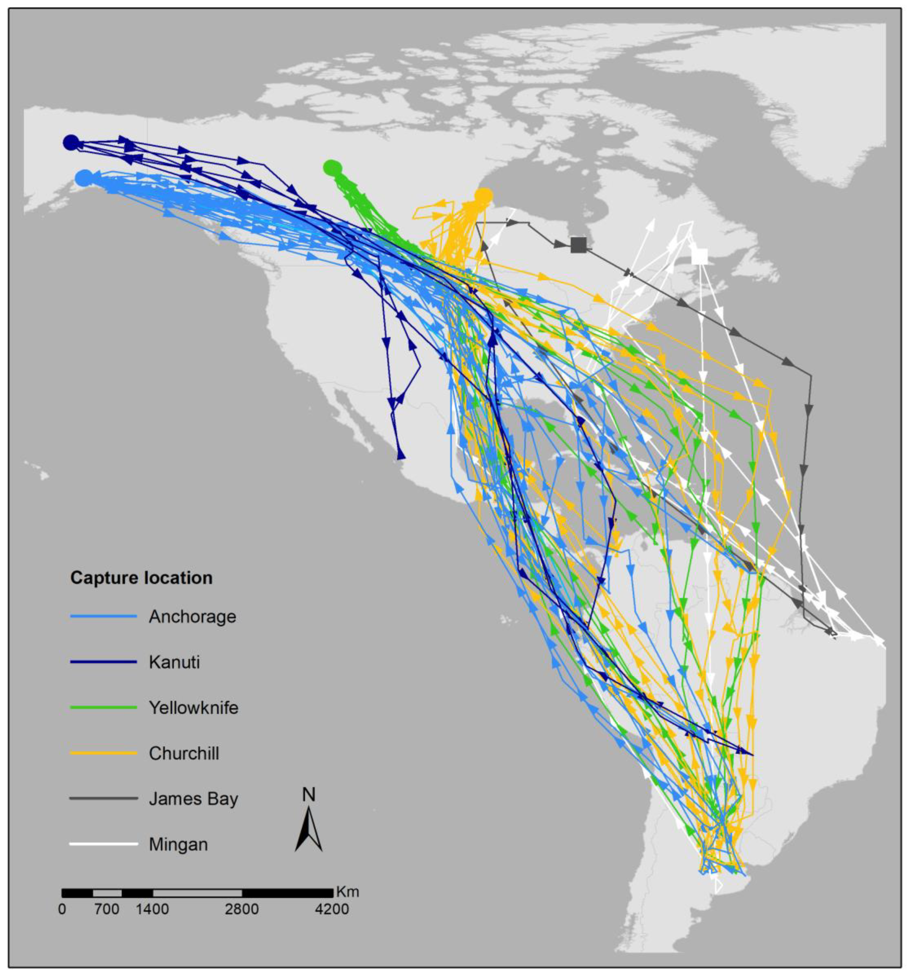 Diversity 15 00595 g002