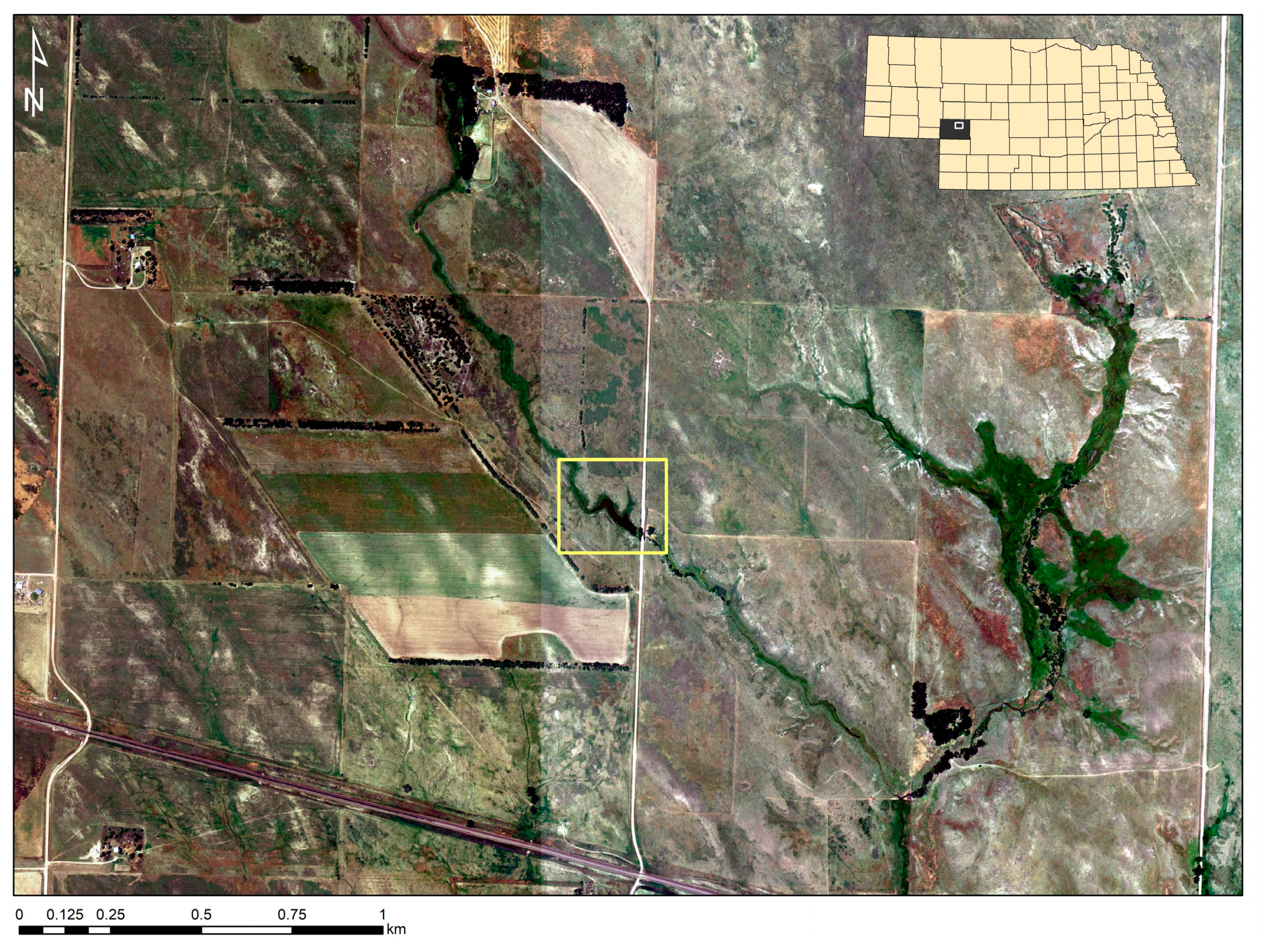 Diversity 15 00597 g001