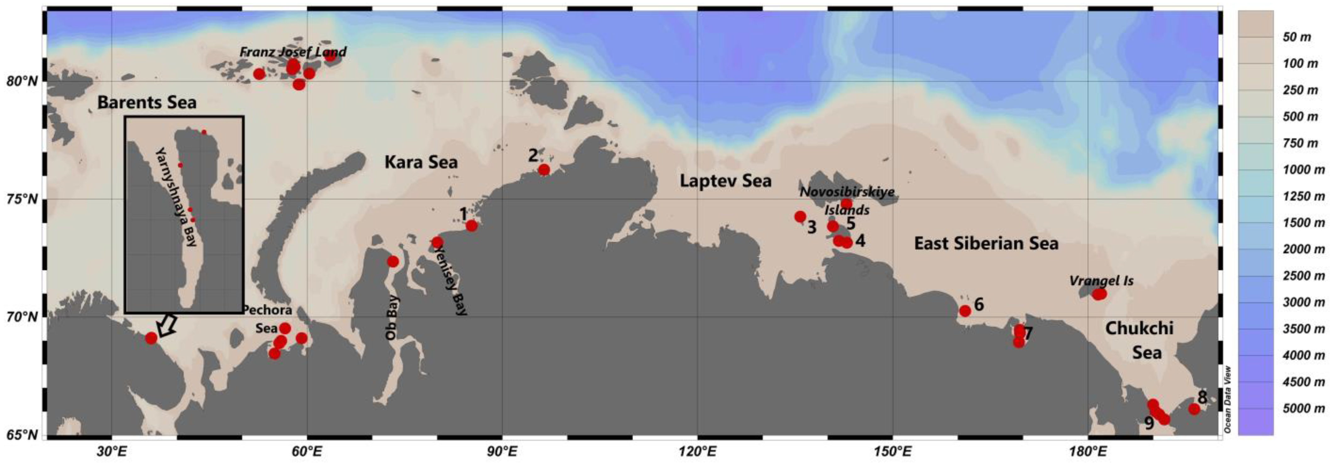 Diversity 15 00604 g001