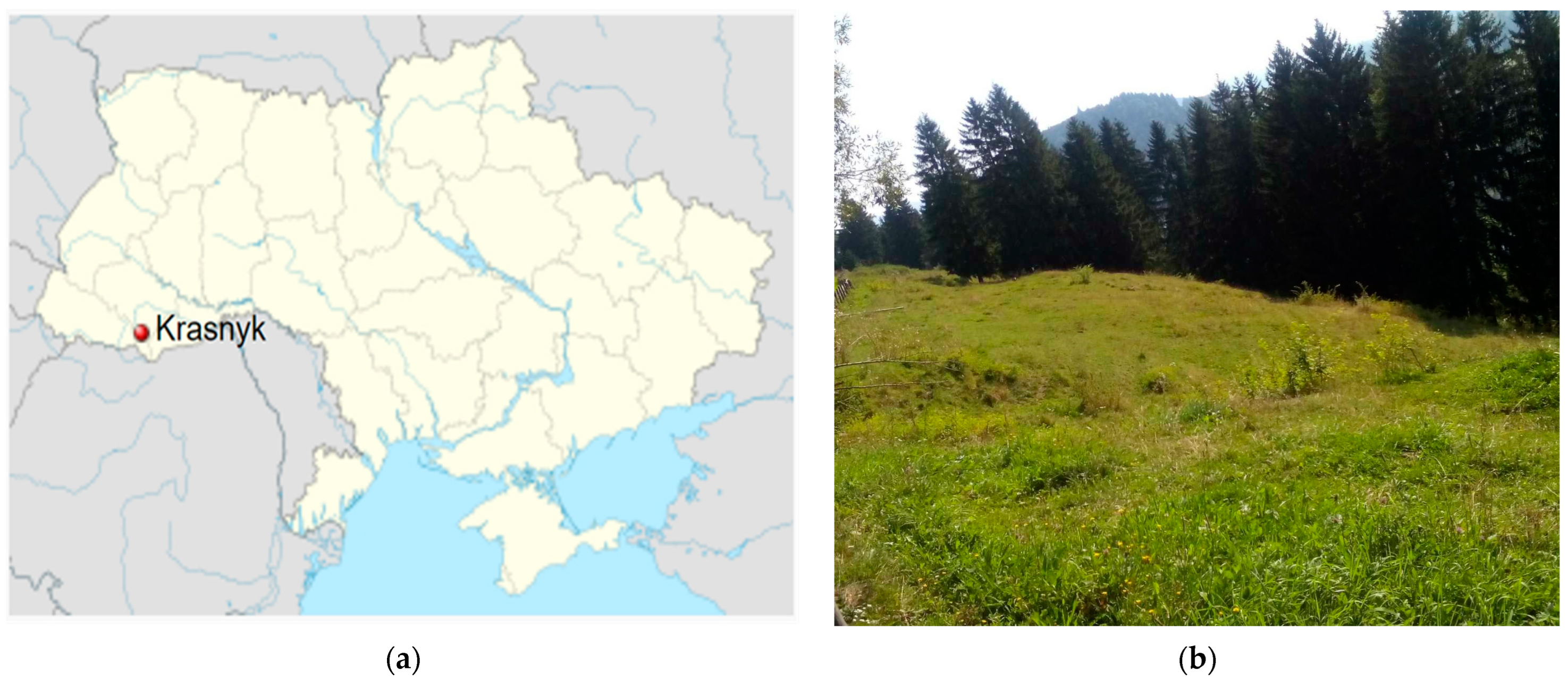 Diversity 15 00605 g001