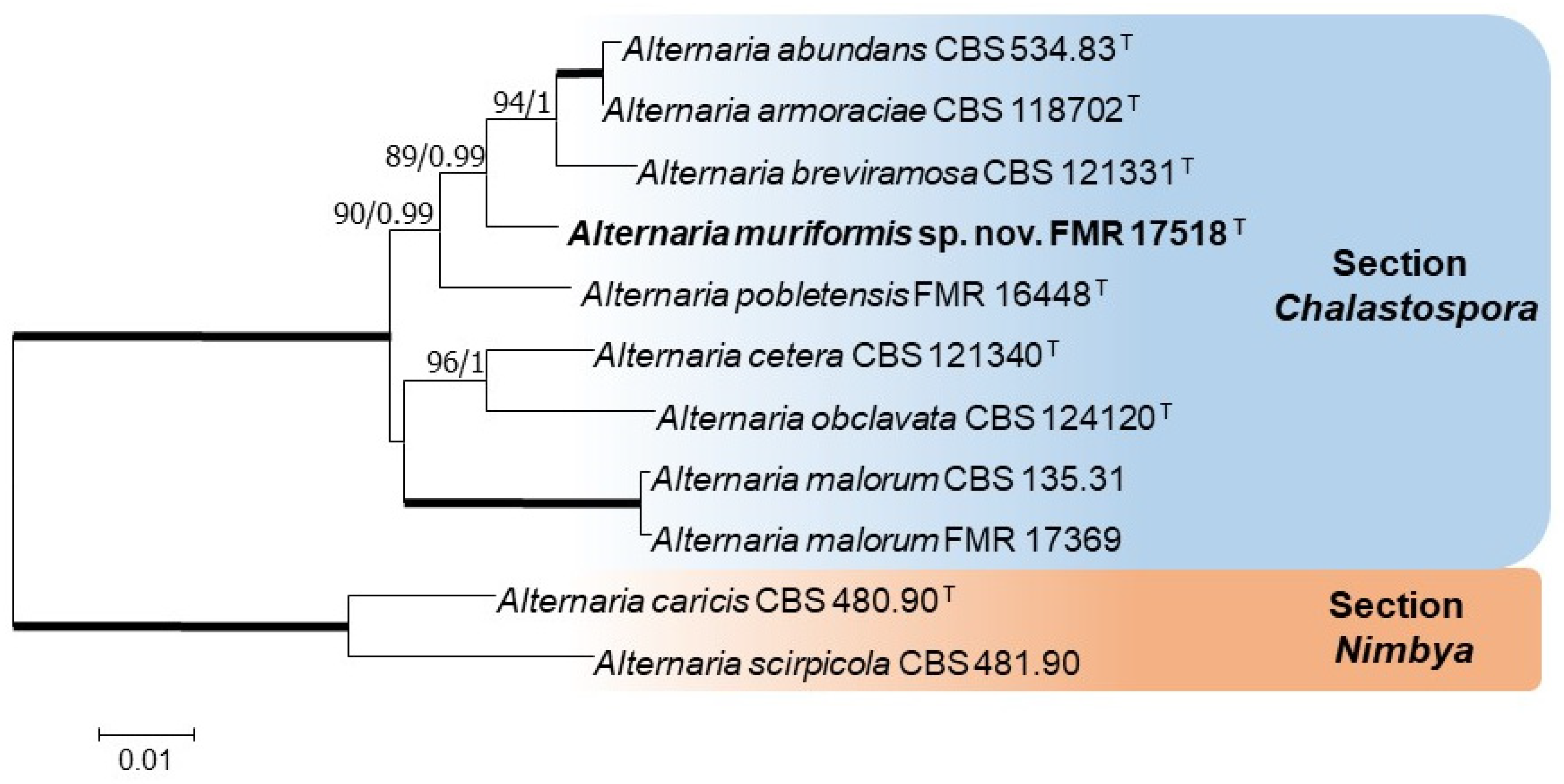 Diversity 15 00606 g001