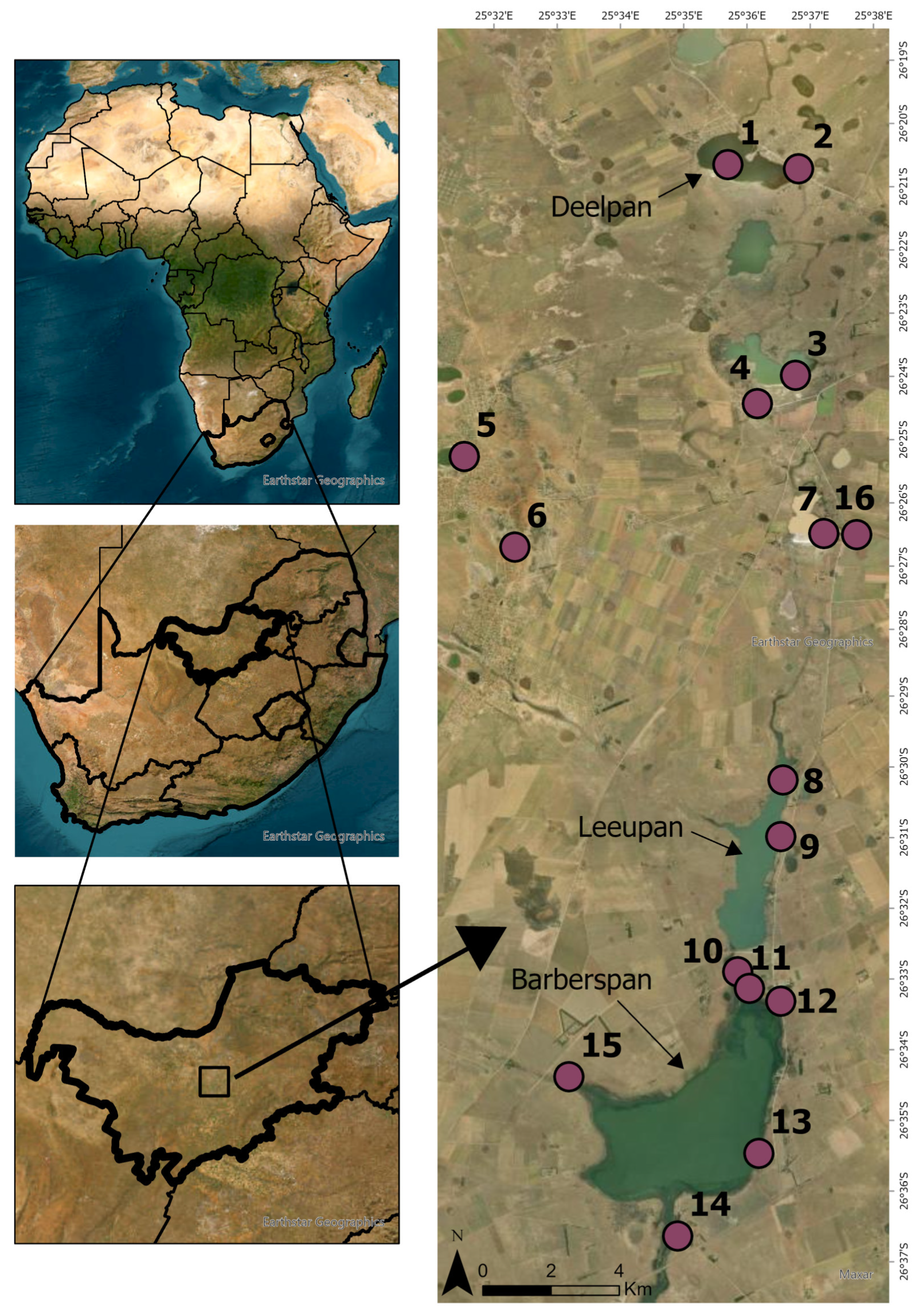 Diversity 15 00614 g001