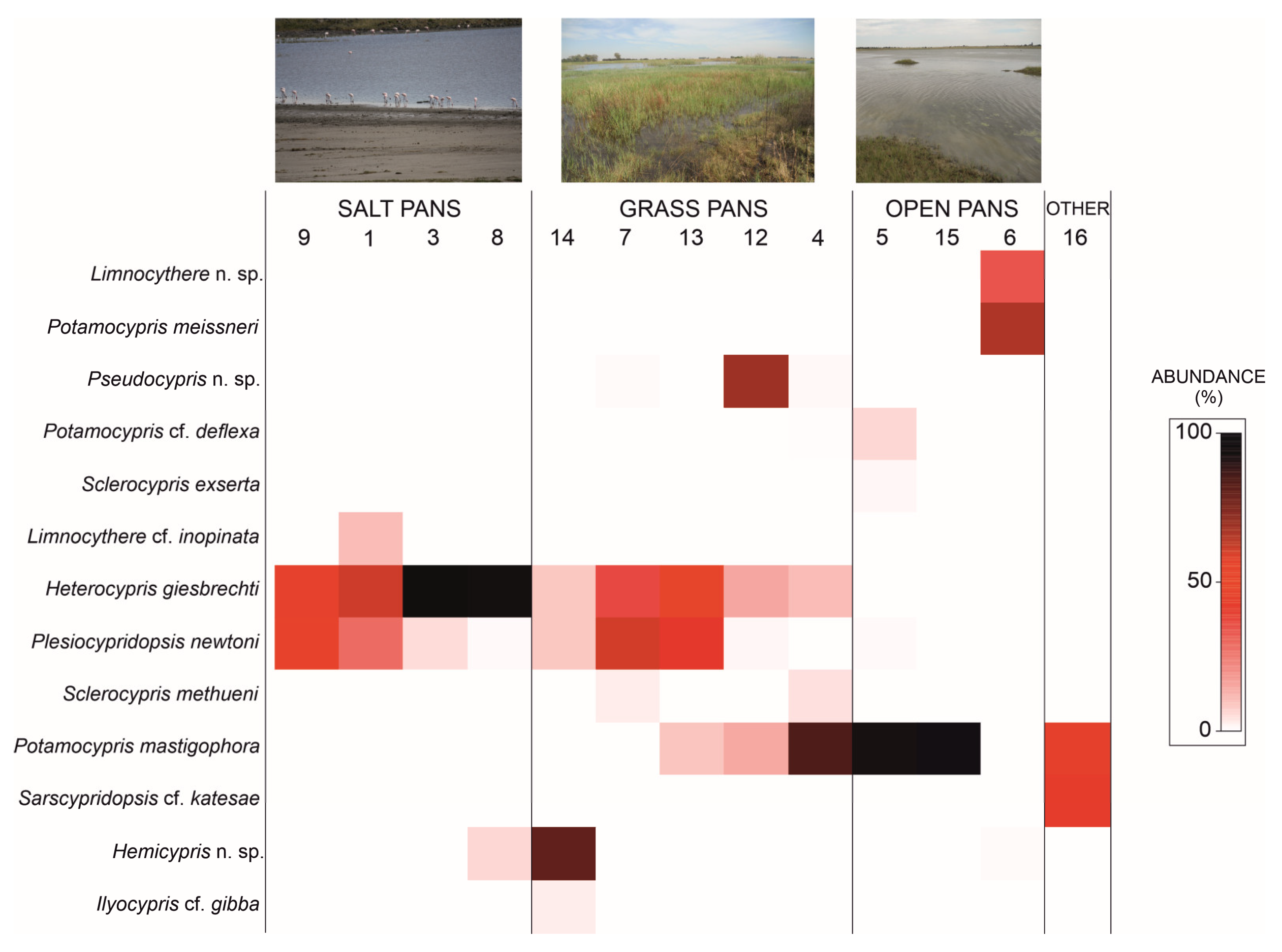 Diversity 15 00614 g005