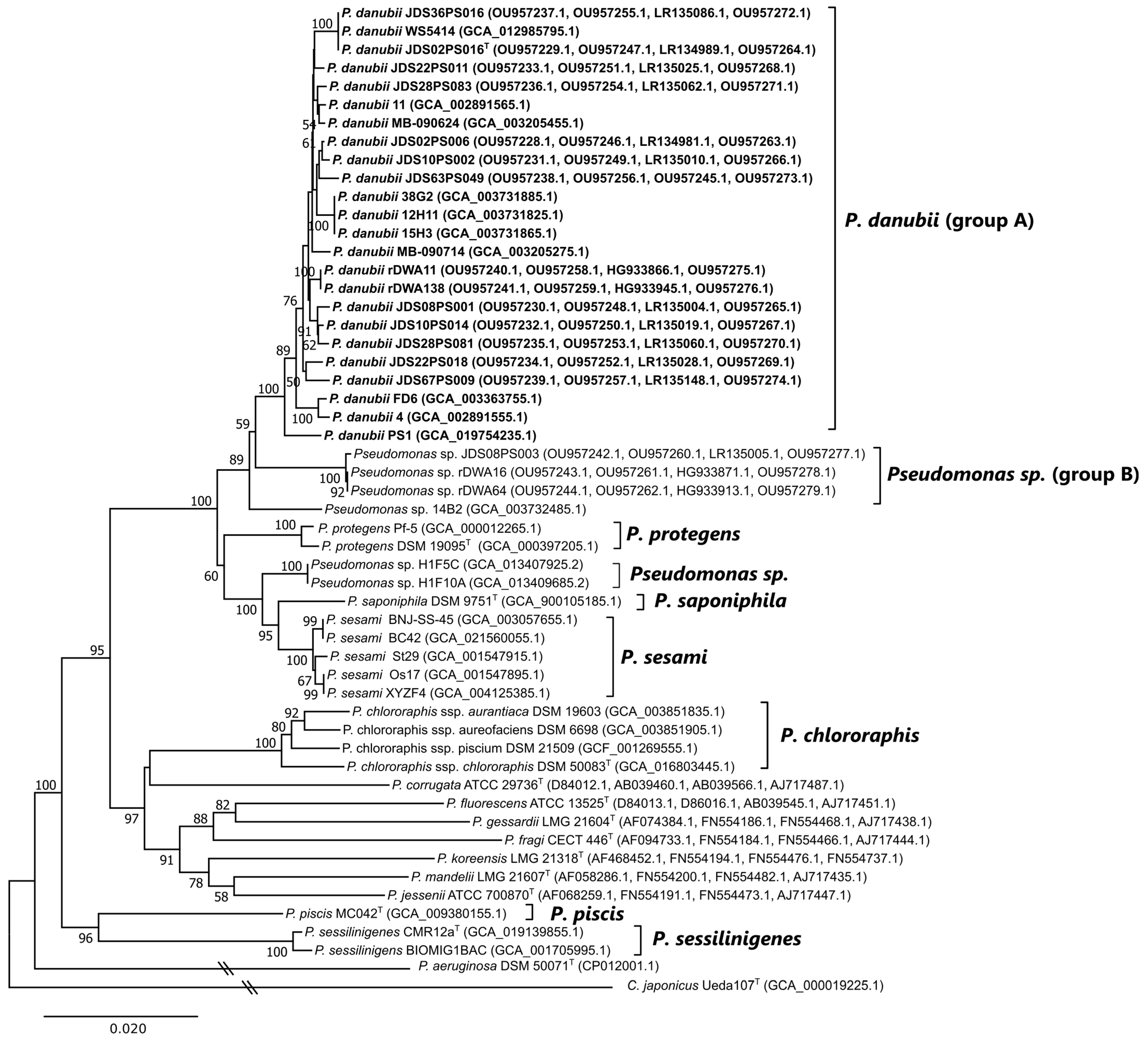 Diversity 15 00617 g002