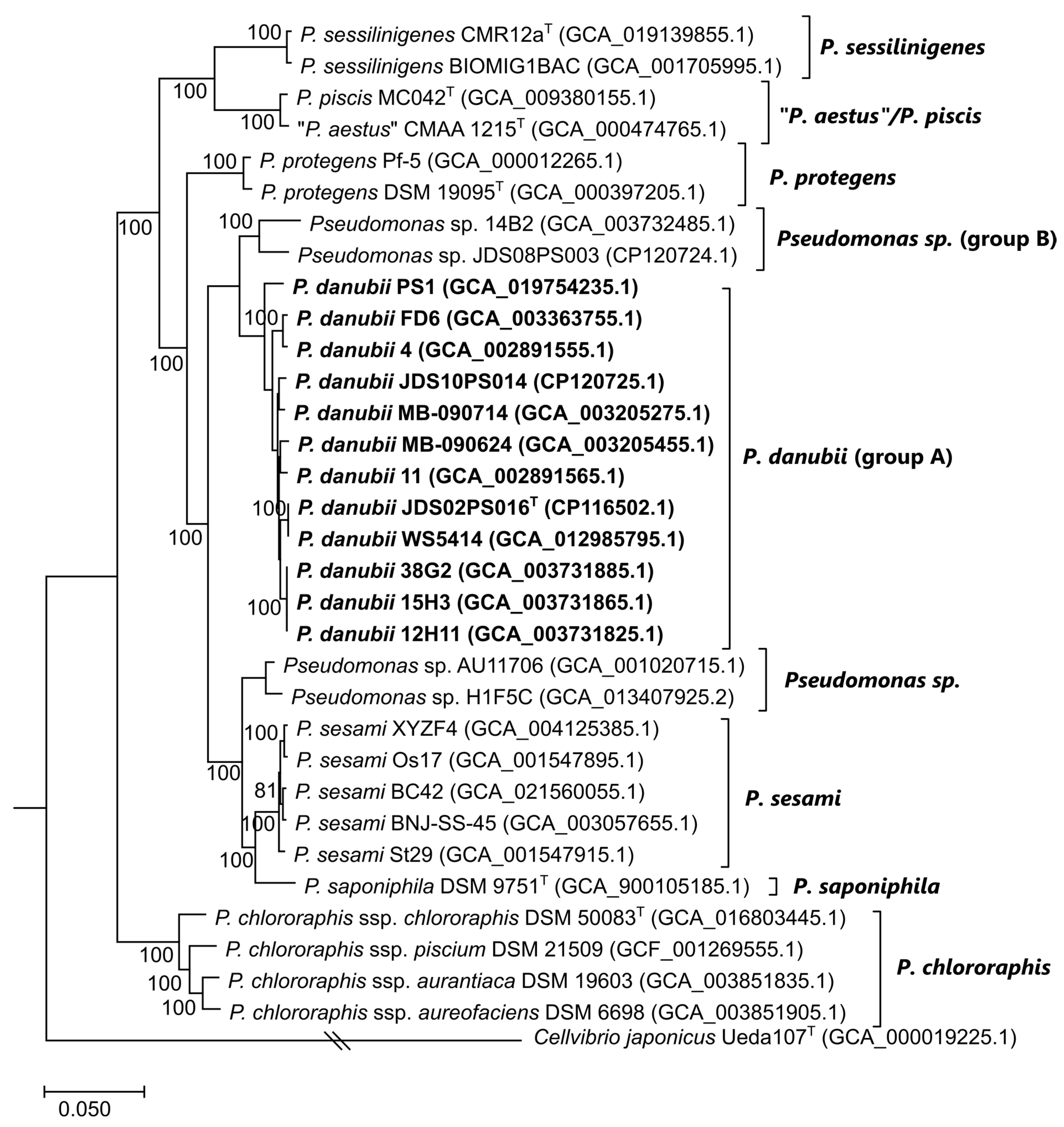 Diversity 15 00617 g003