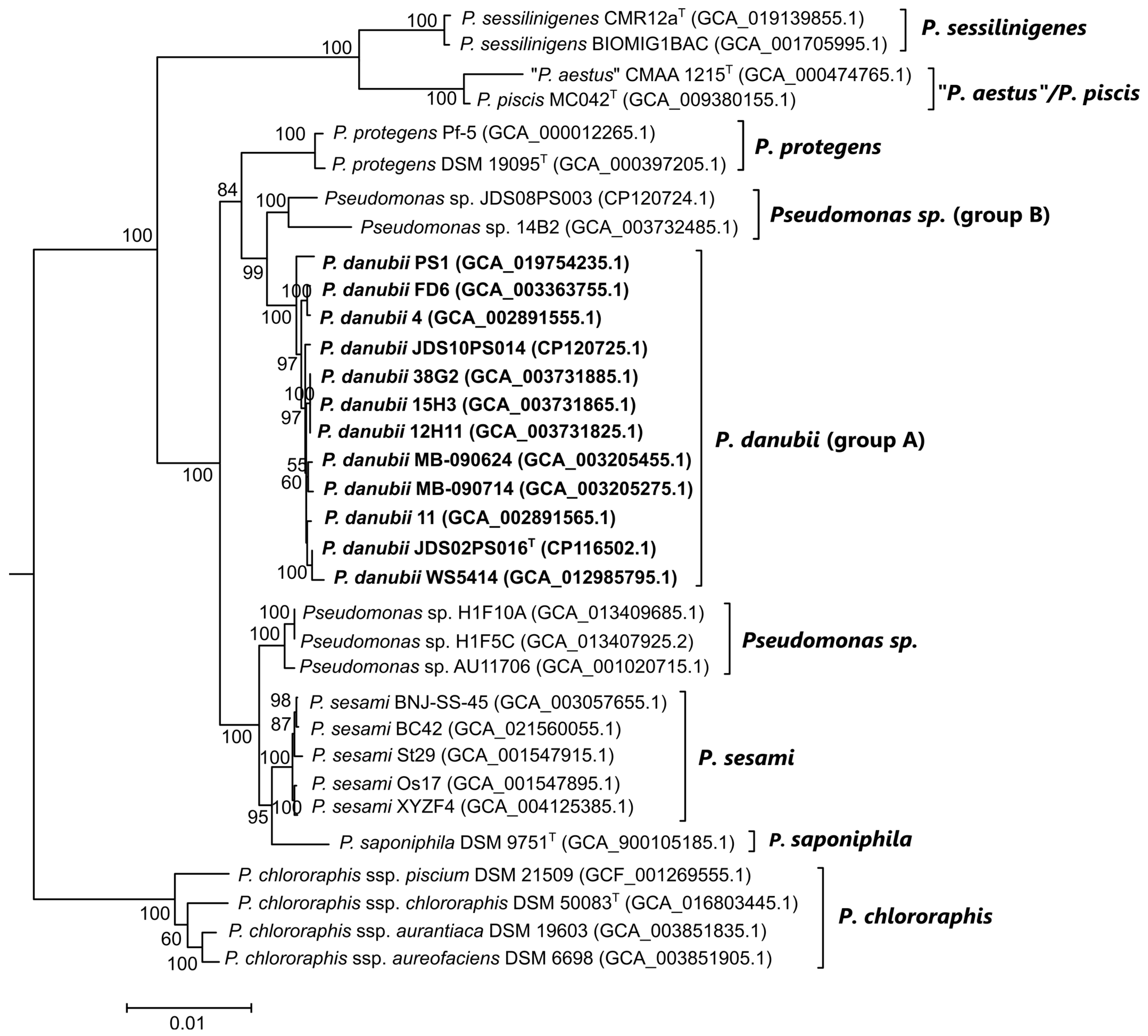 Diversity 15 00617 g004