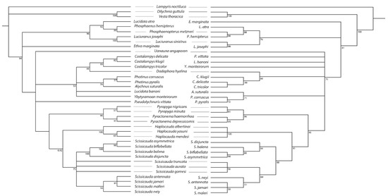 Diversity 15 00620 g002