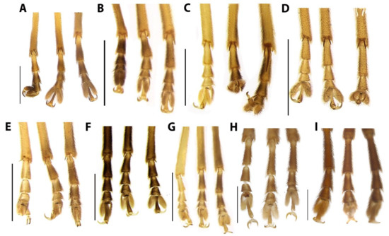 Diversity 15 00620 g008