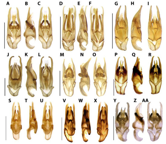 Diversity 15 00620 g013