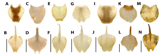 Diversity 15 00620 g015