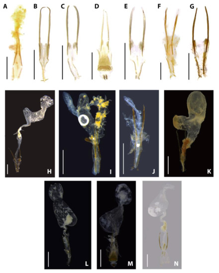 Diversity 15 00620 g016