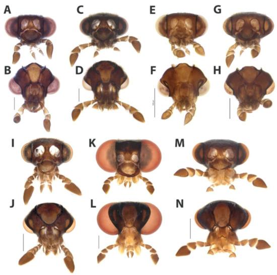 Diversity 15 00620 g018