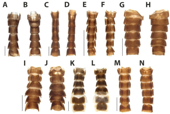 Diversity 15 00620 g022