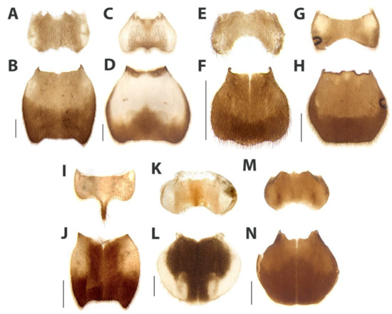 Diversity 15 00620 g023