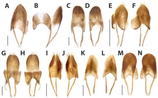 Diversity 15 00620 g024