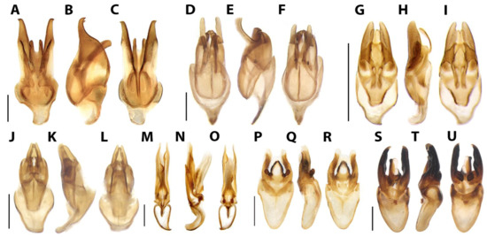 Diversity 15 00620 g025