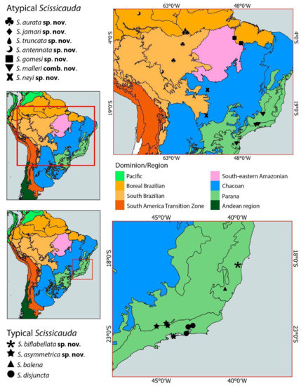 Diversity 15 00620 g026