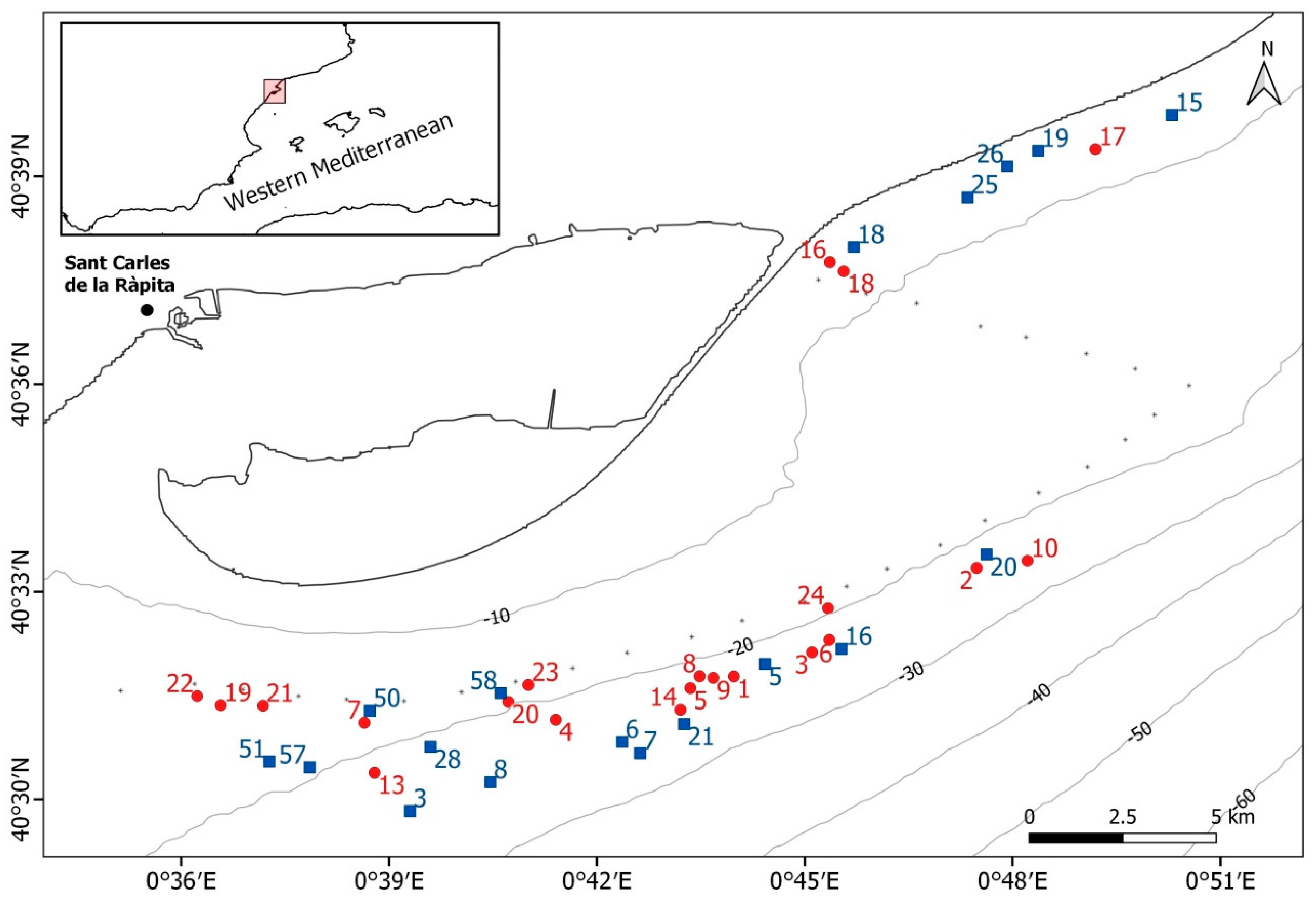 Diversity 15 00623 g001