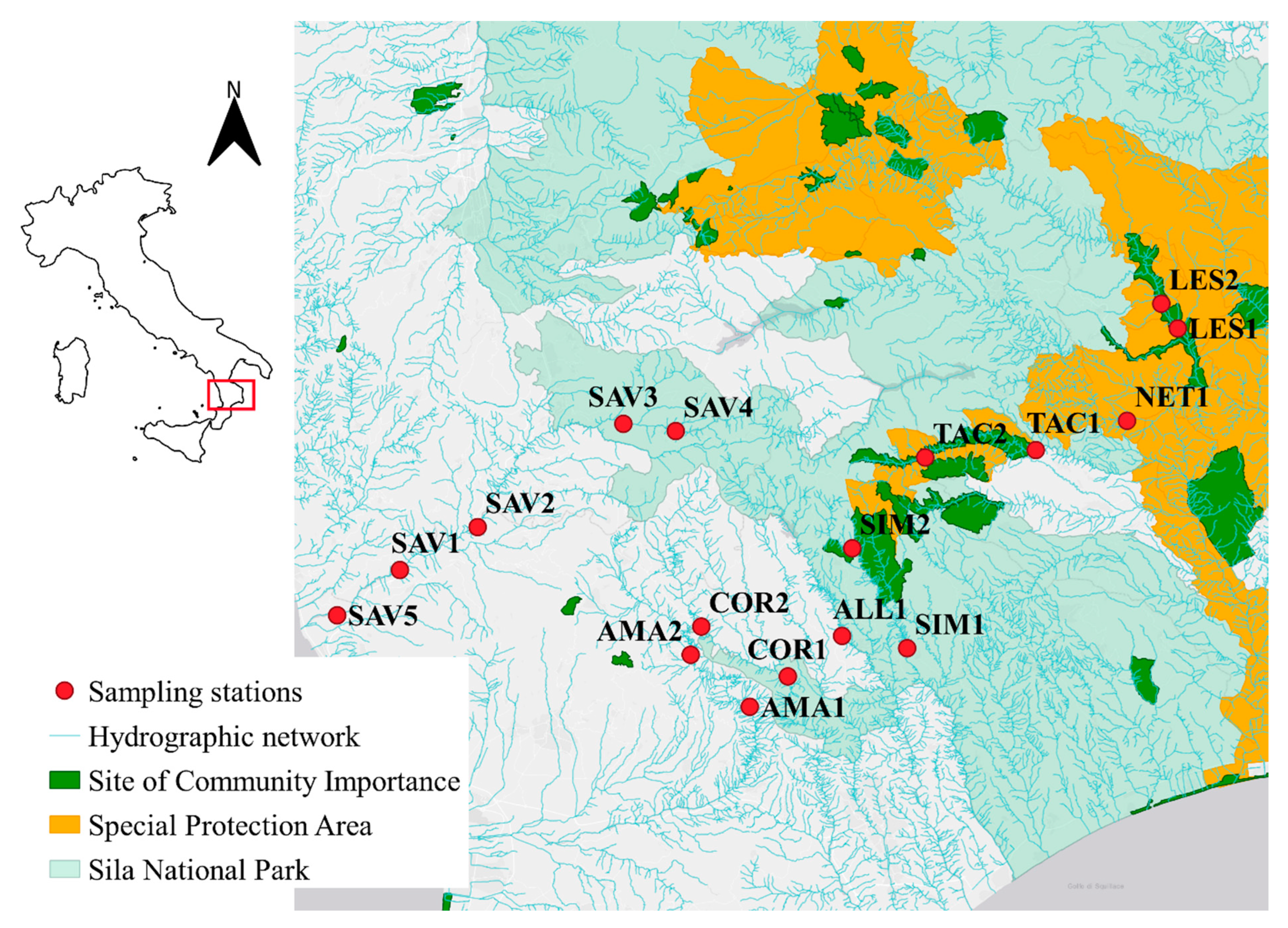 Diversity 15 00625 g001