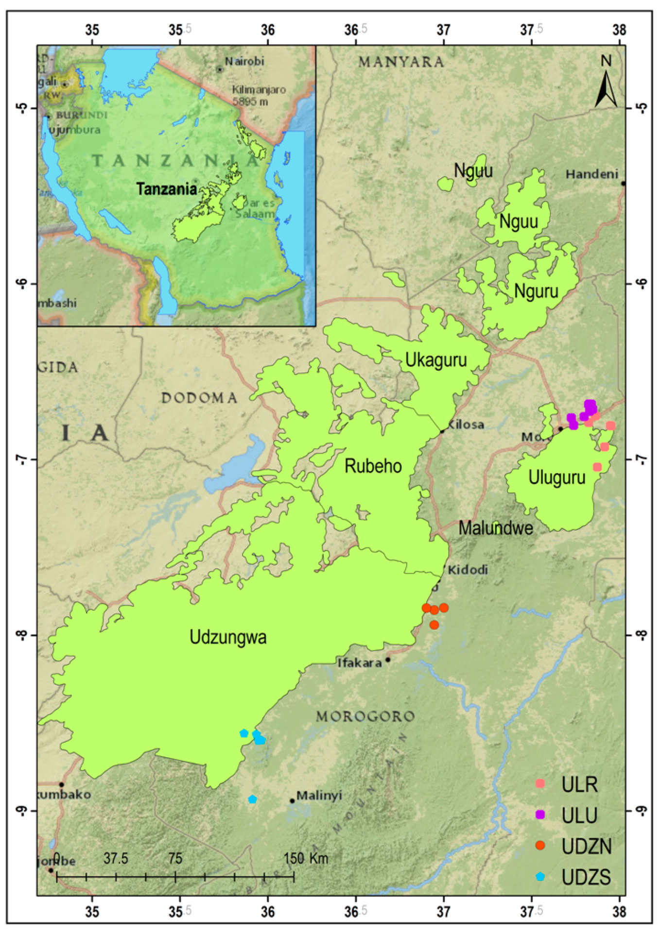 Diversity 15 00626 g001